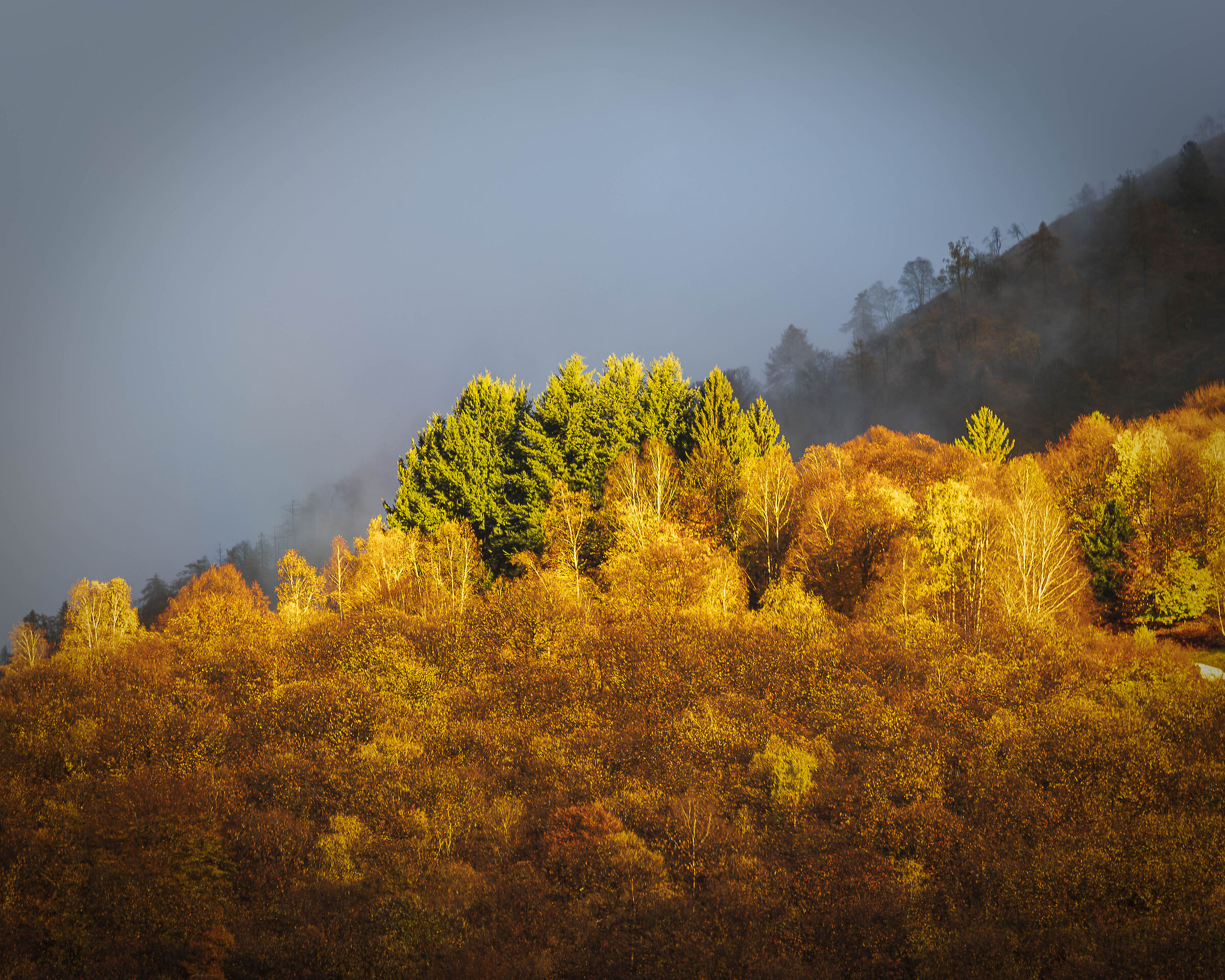 Colori autunnali al tramonto