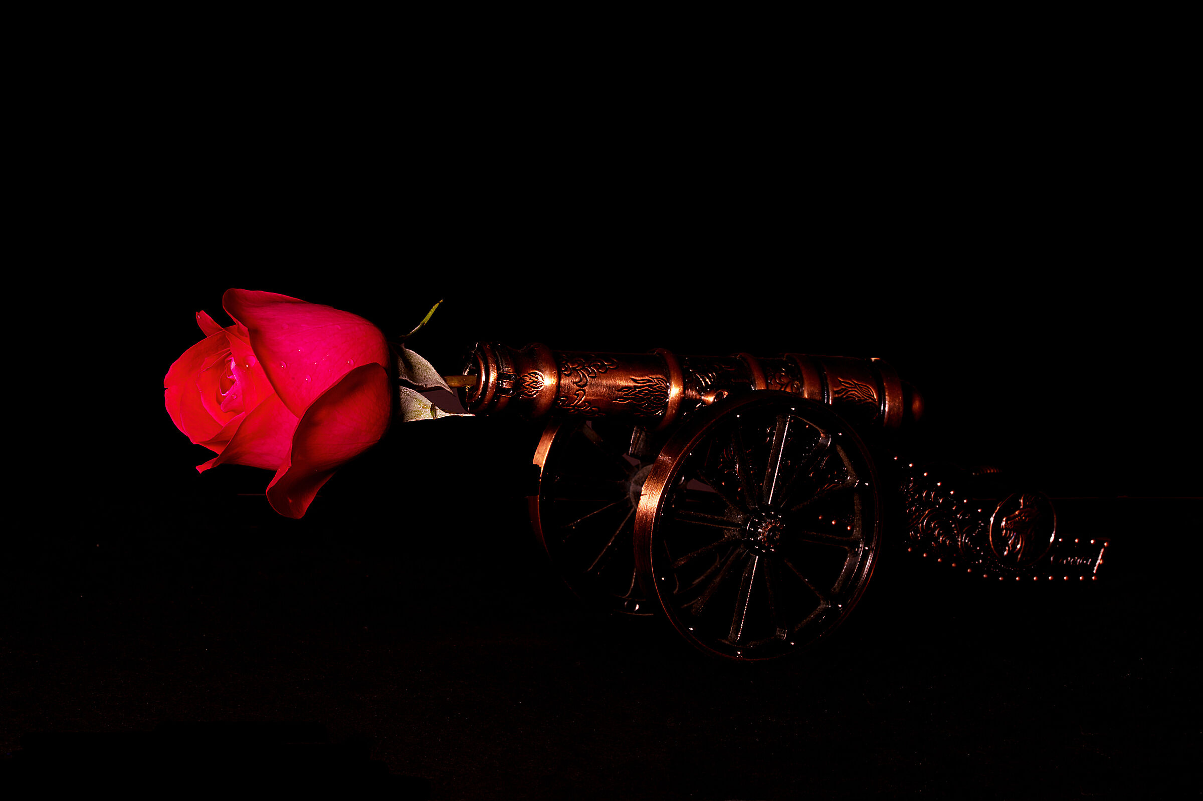 Put flowers in your cannons!!
