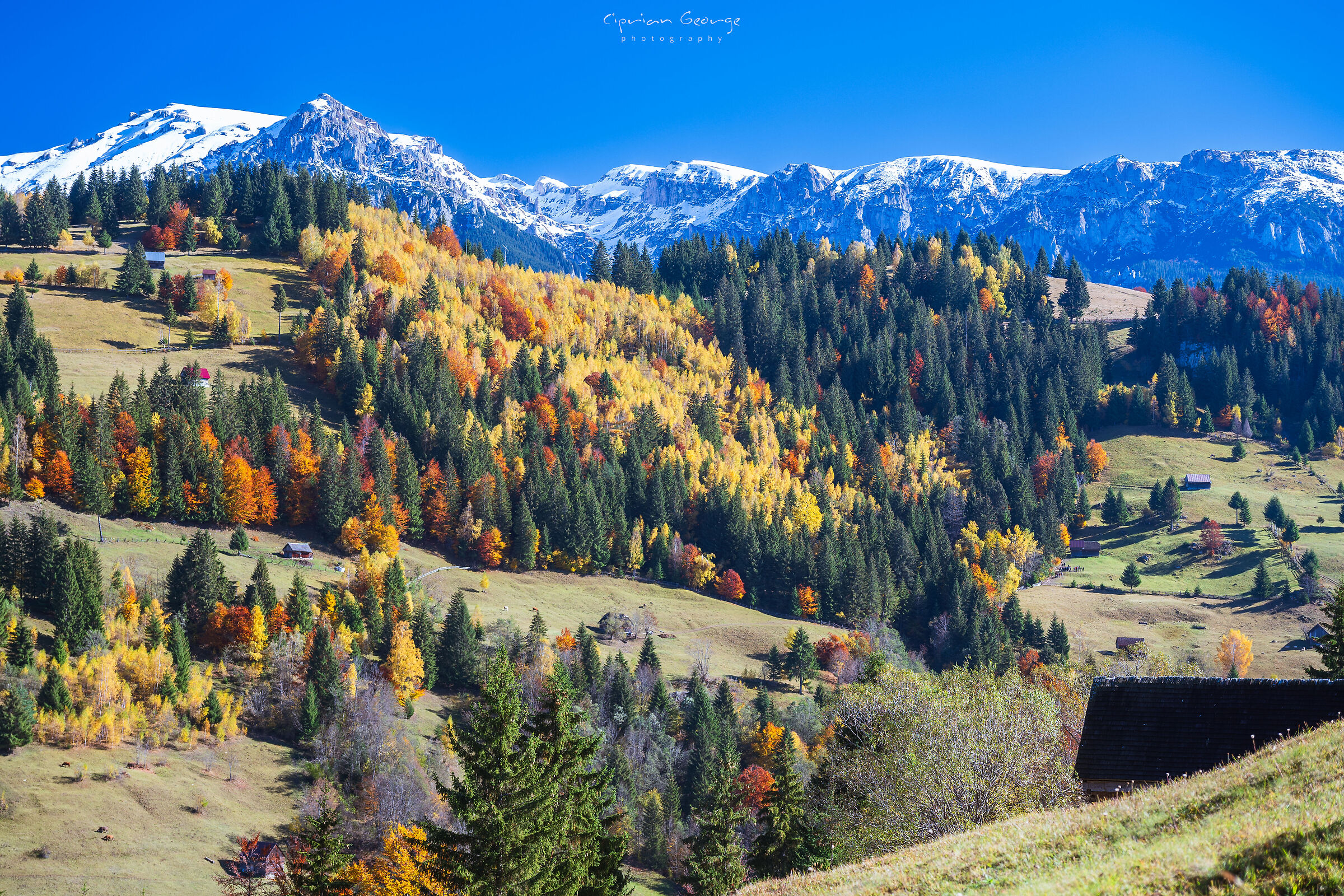 Sentimenti di ottobre
