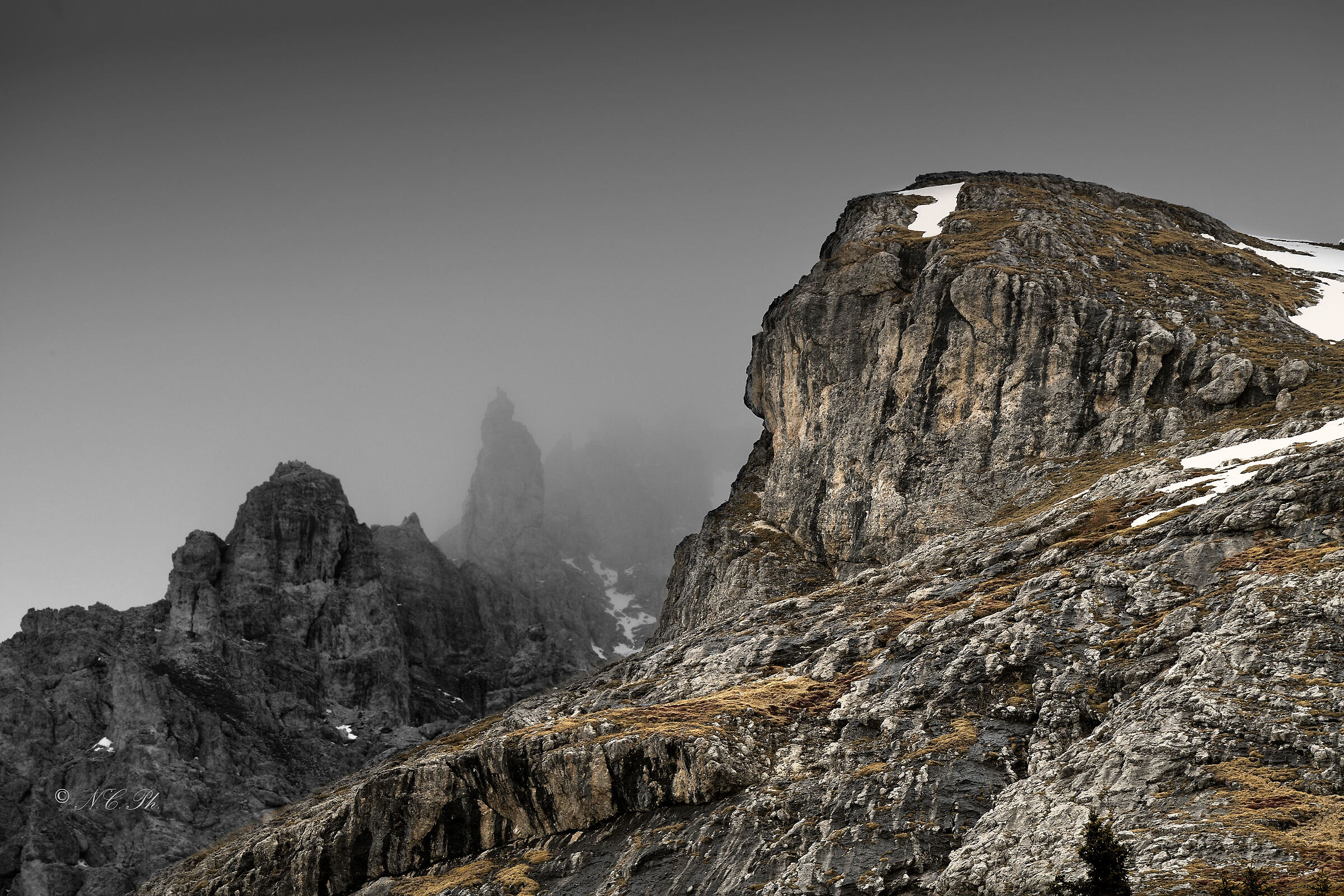Detail of Croda Rossa d'Ampezzo from Prato Piazza 2