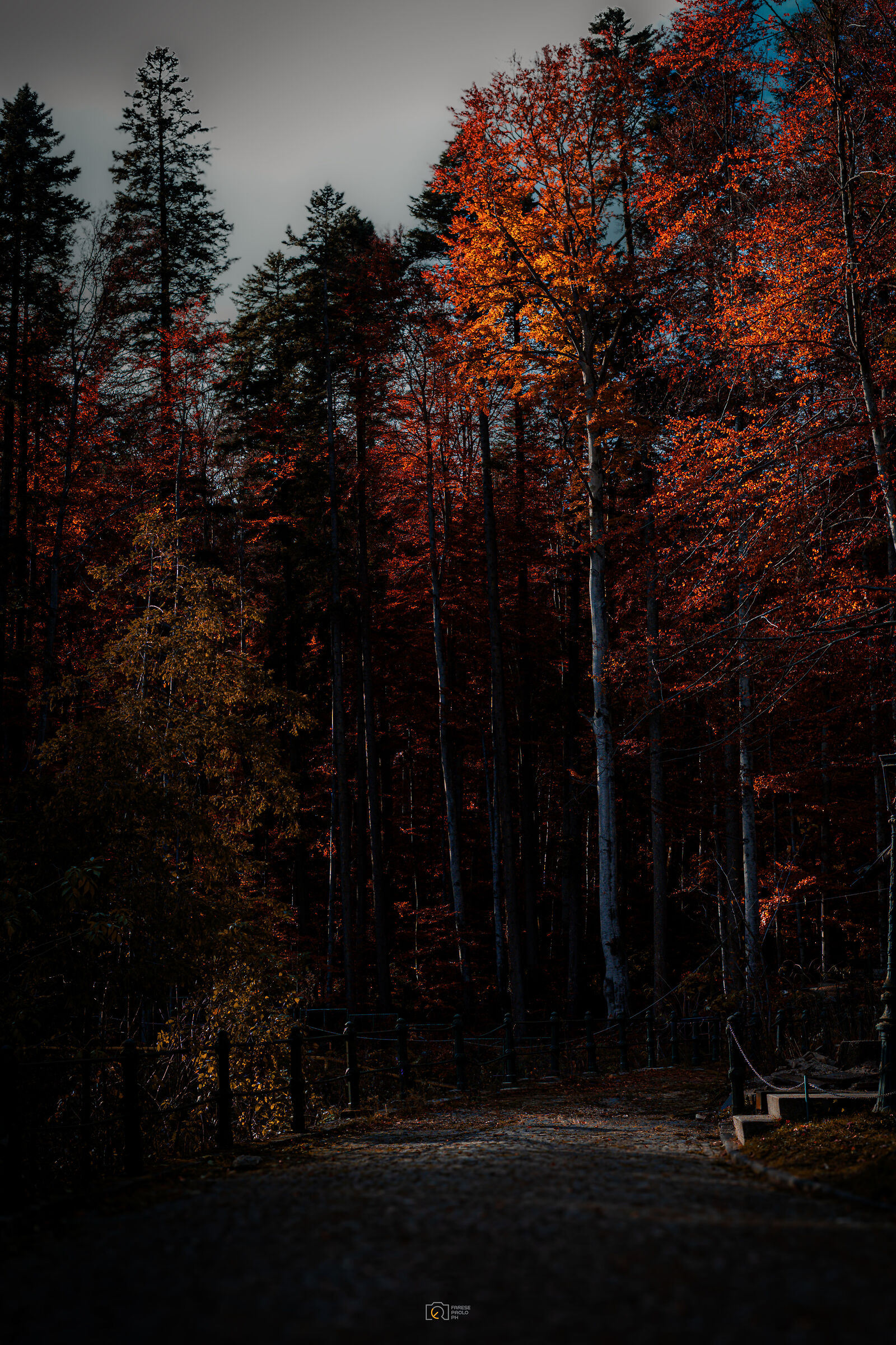 Before immersing yourself in the colors