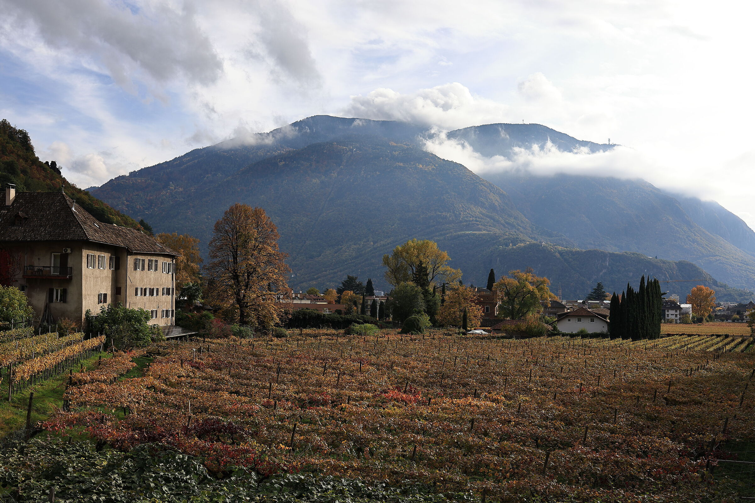 Lungotalvera promenade in Bolzano