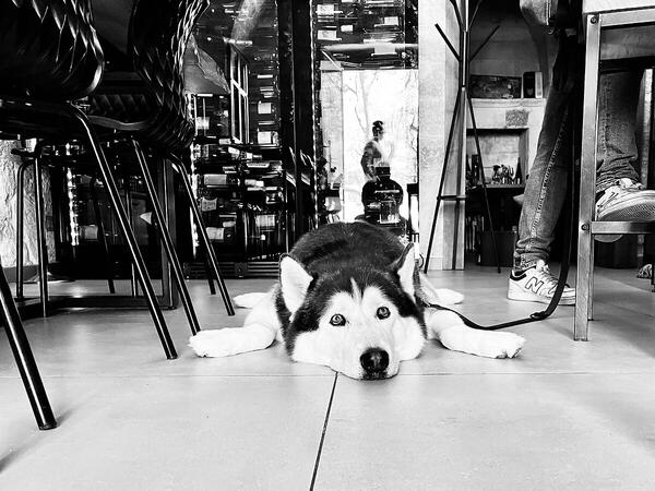 Foto