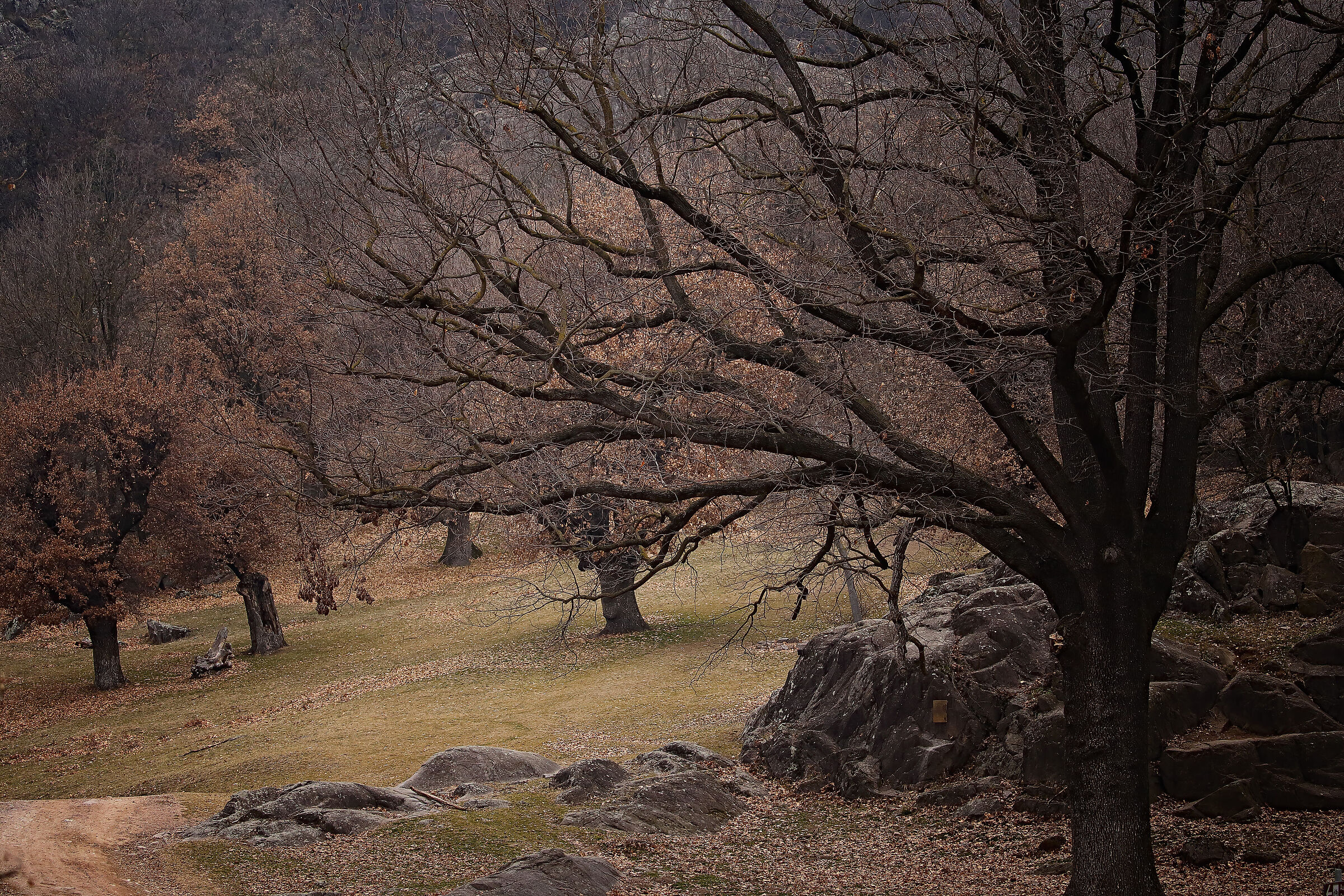 Autumn