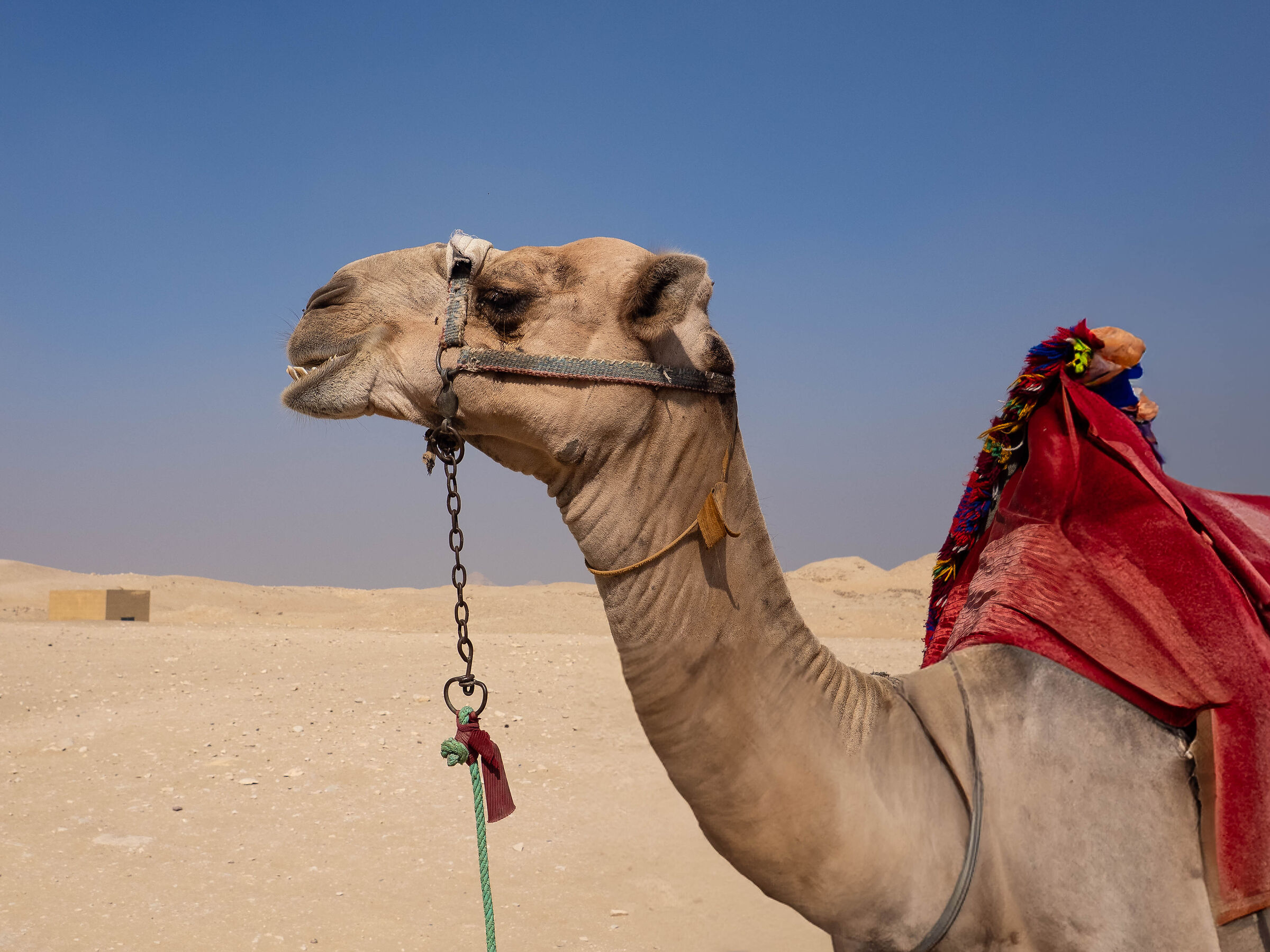 di profilo vengo meglio!