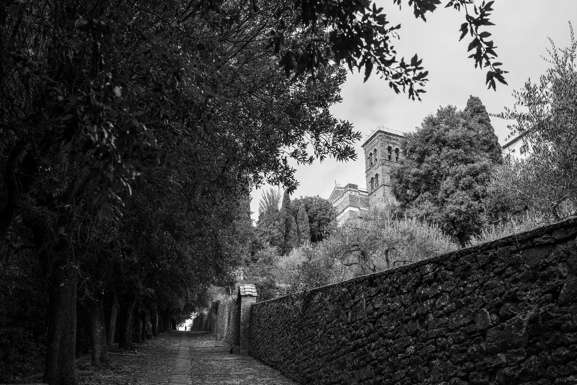Cortona on the move 2025