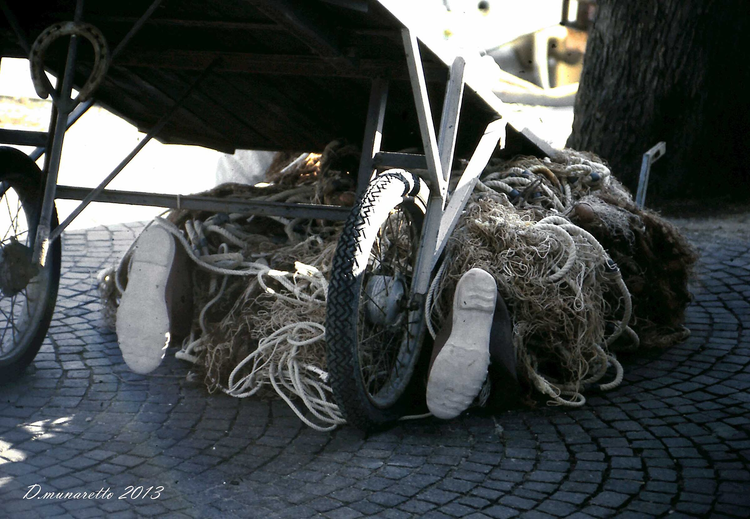 The fisherman... forgotten!