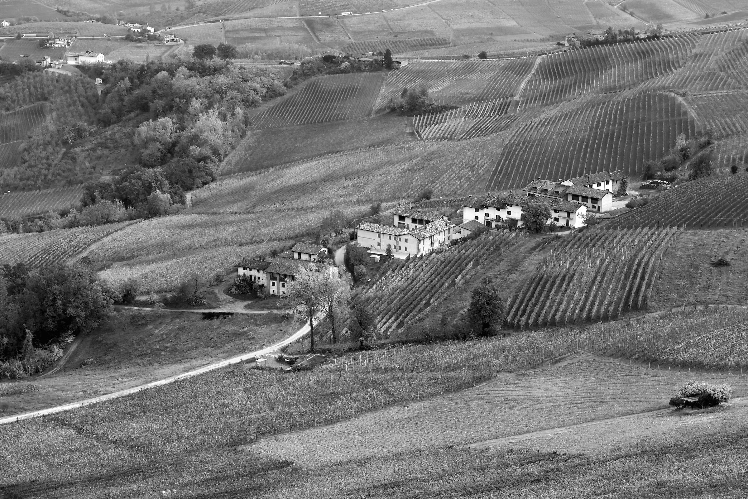 Langhe
