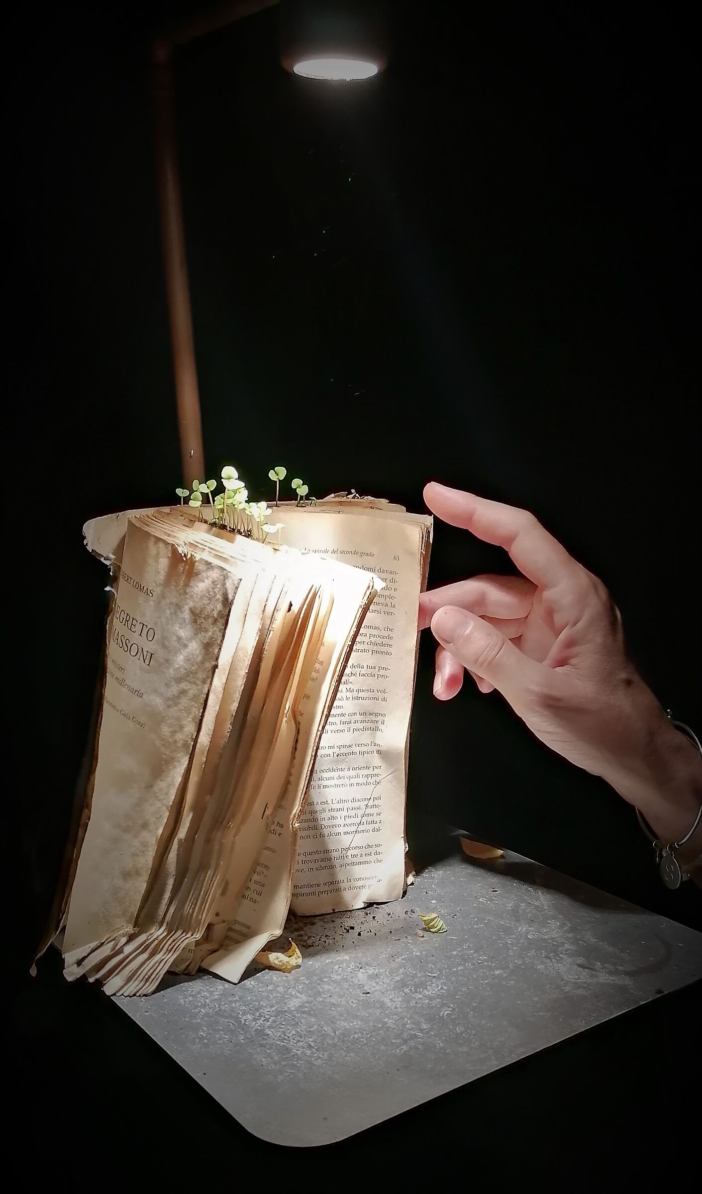 The book