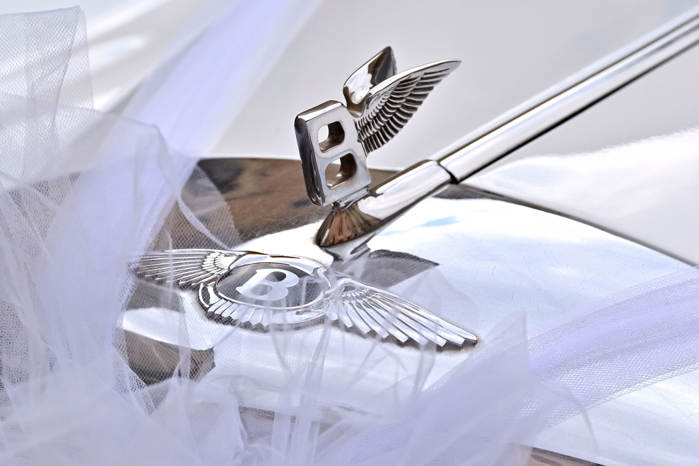 Pillole di matrimonio