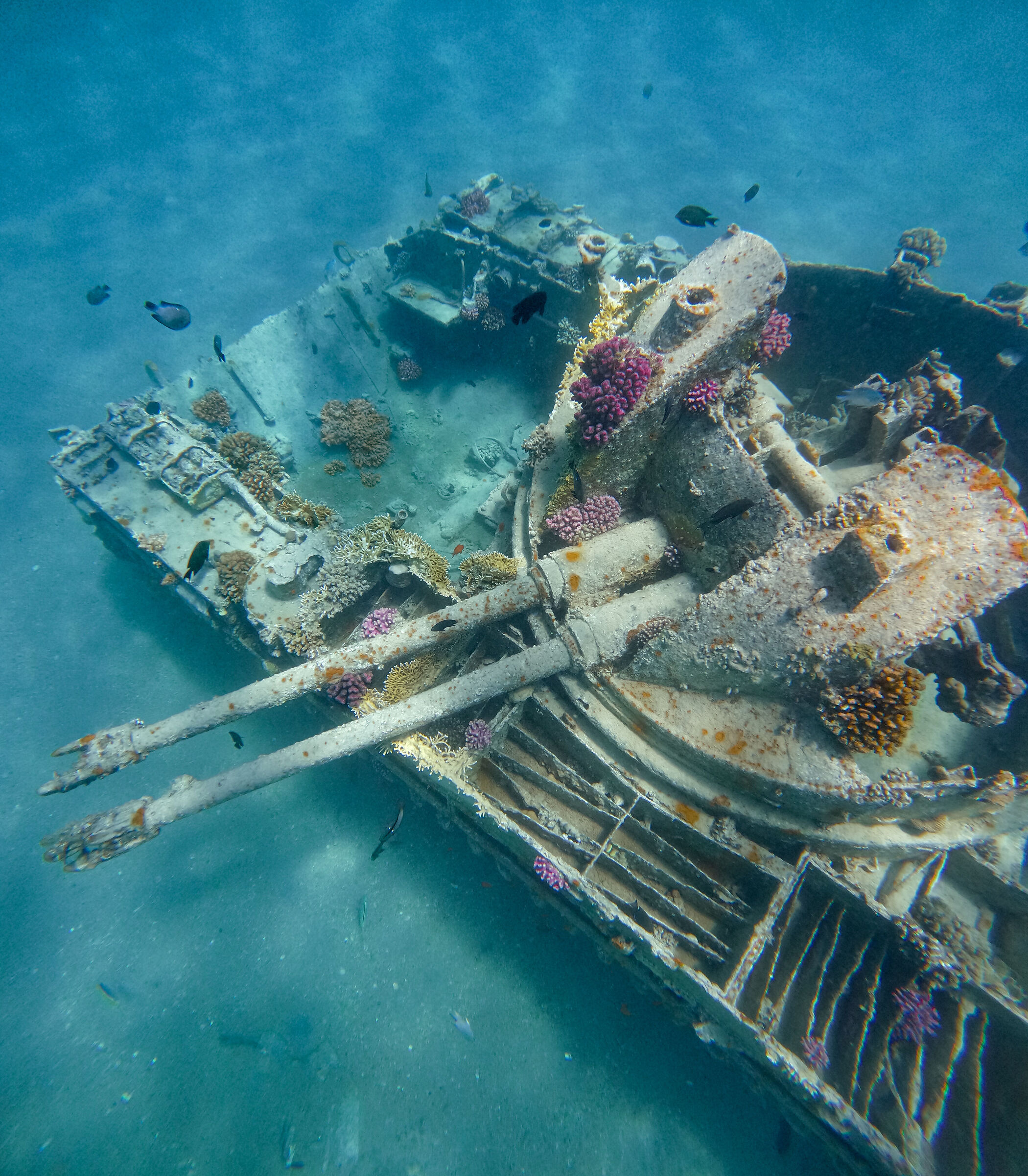 Corals and Remnants