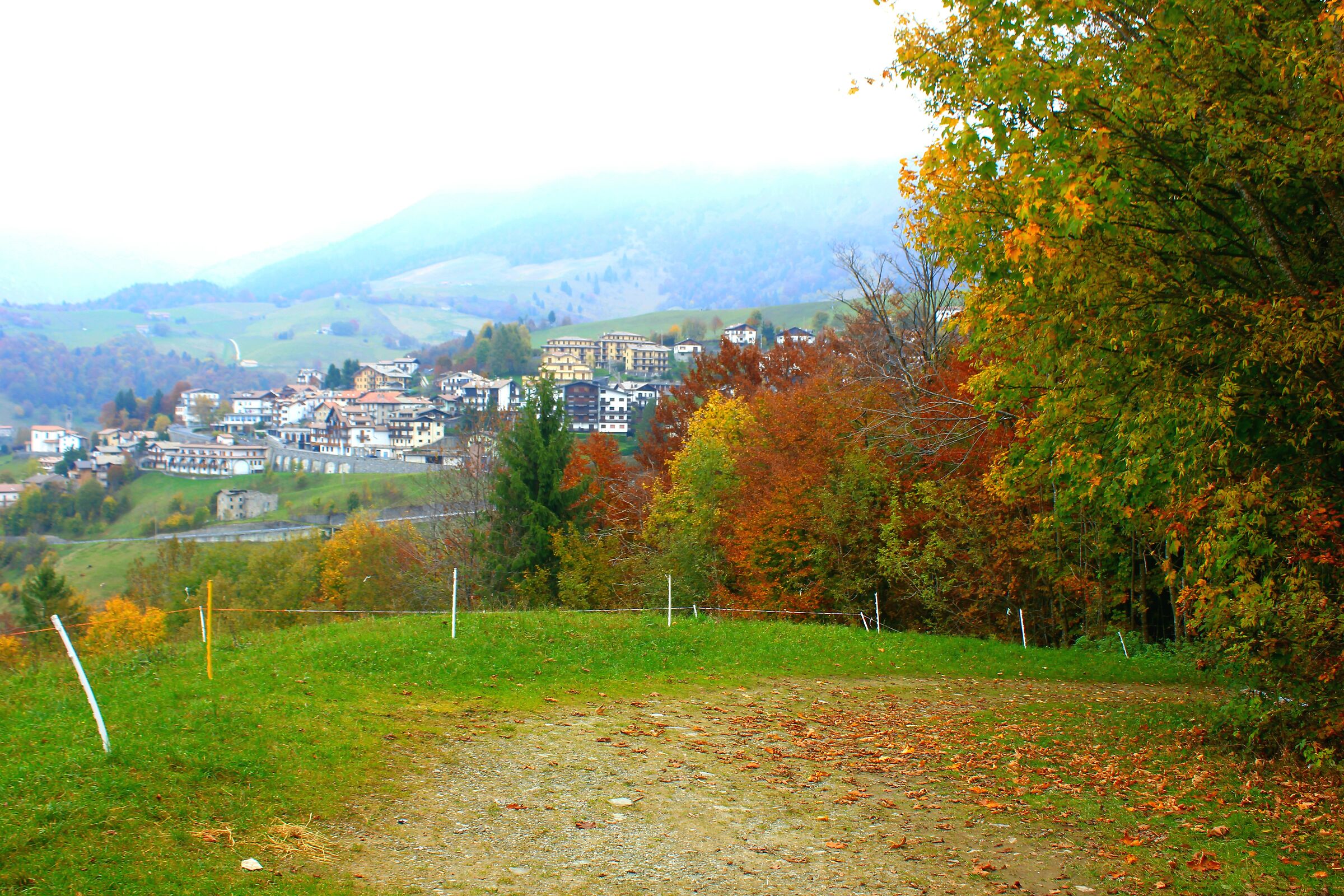 From the autumn forest view of zambla,(bg)