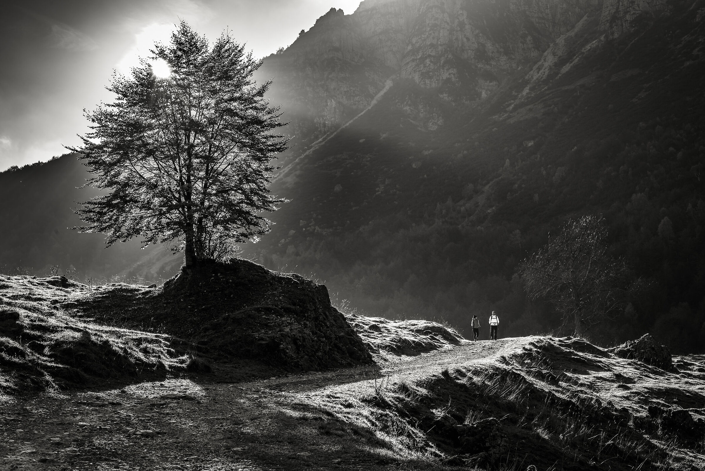 On the Montagnole plateau