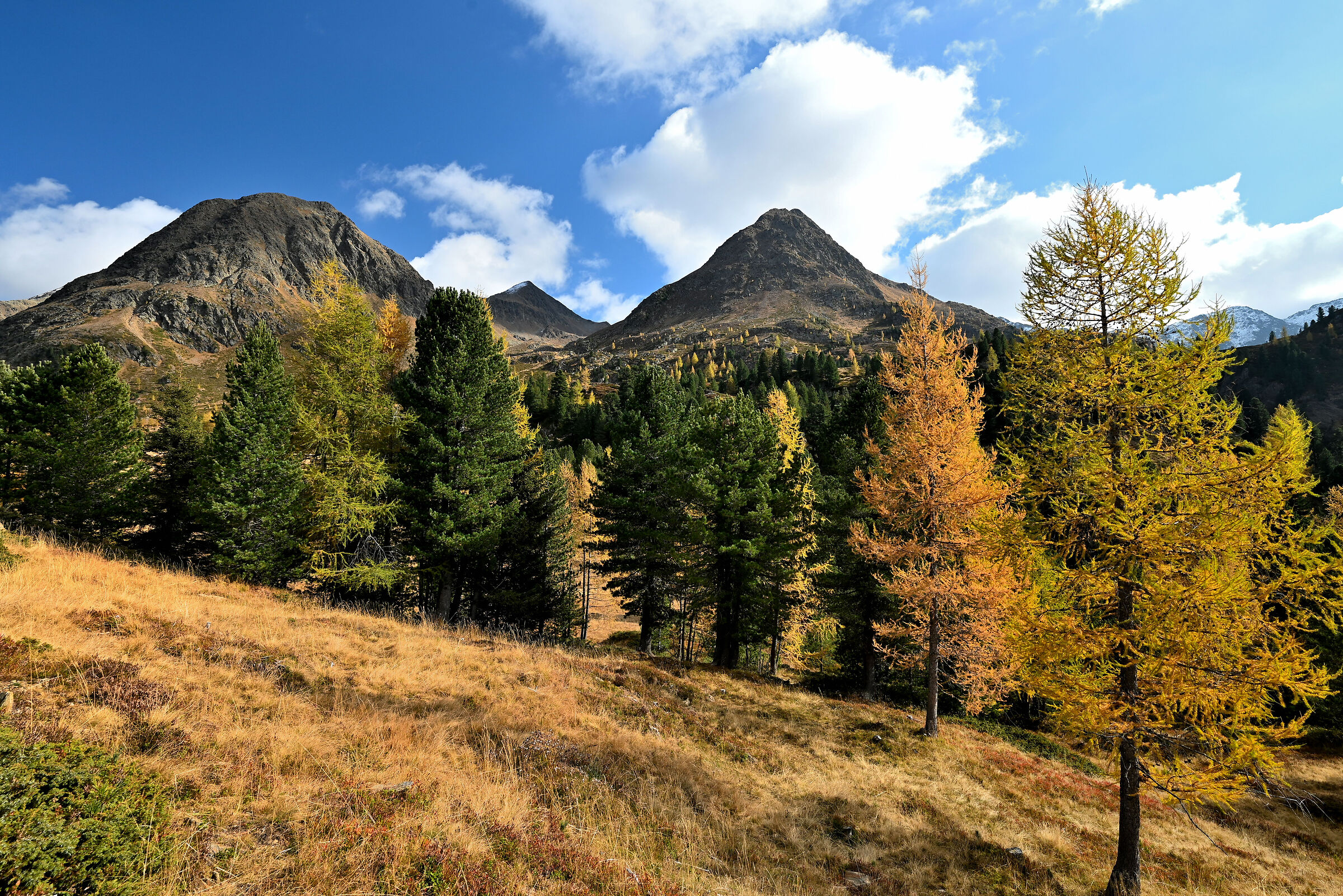 Due picchi...non lontani, ma nemmeno vicini