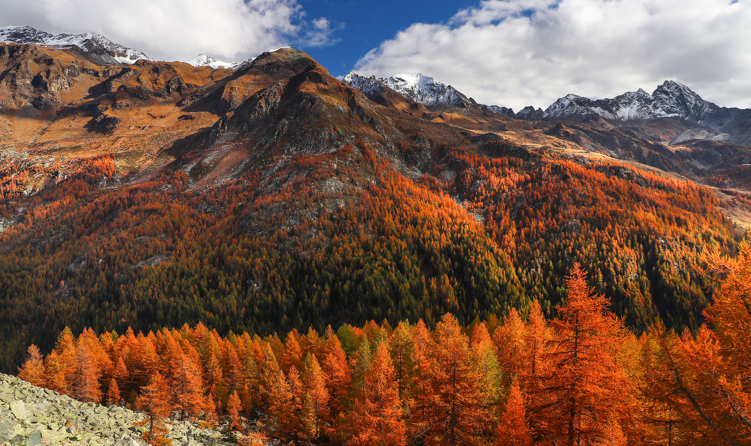 calm before the storm...