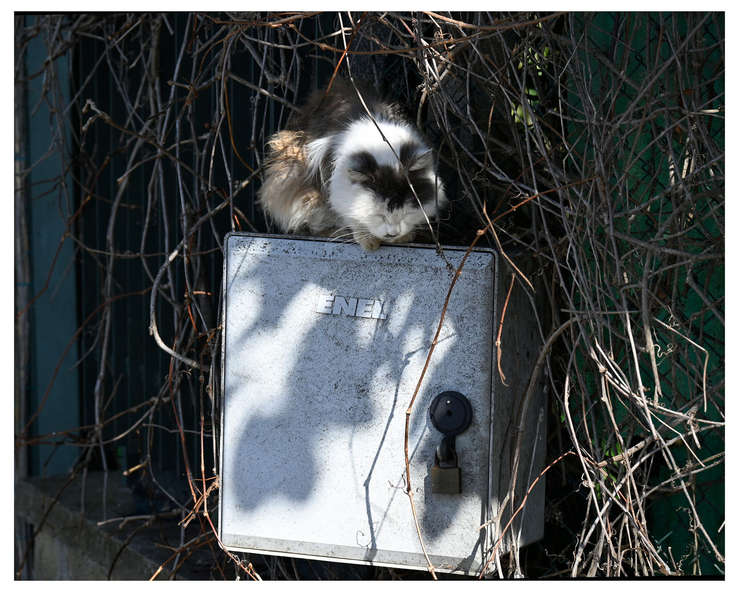 Il sonno è una questione di watt