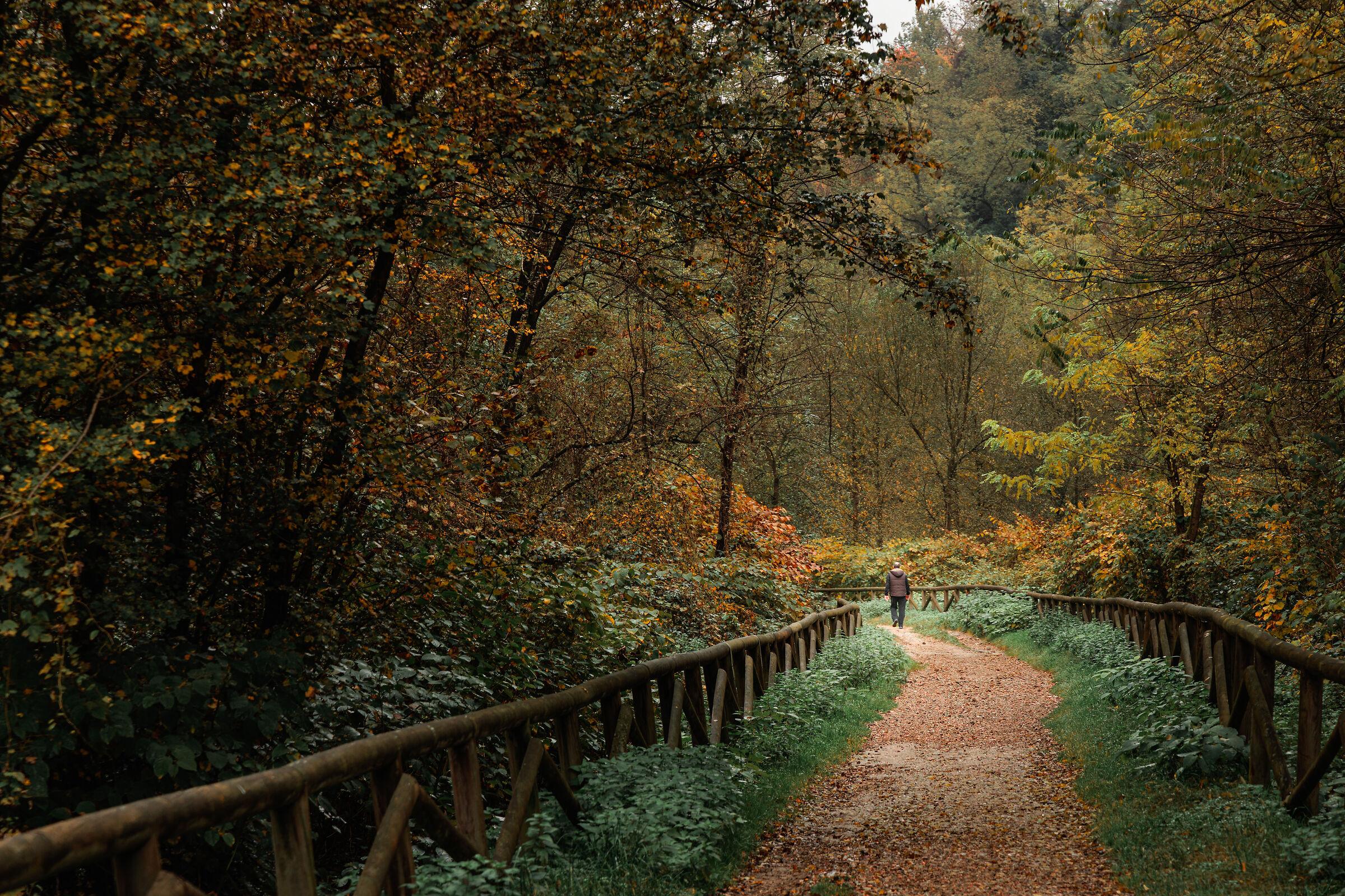 A passeggio per il parco RTO