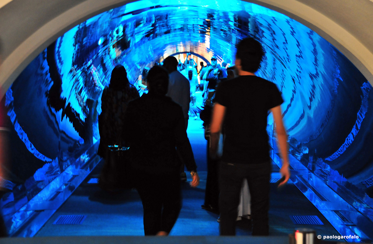 Dubai Mall - Aquarium