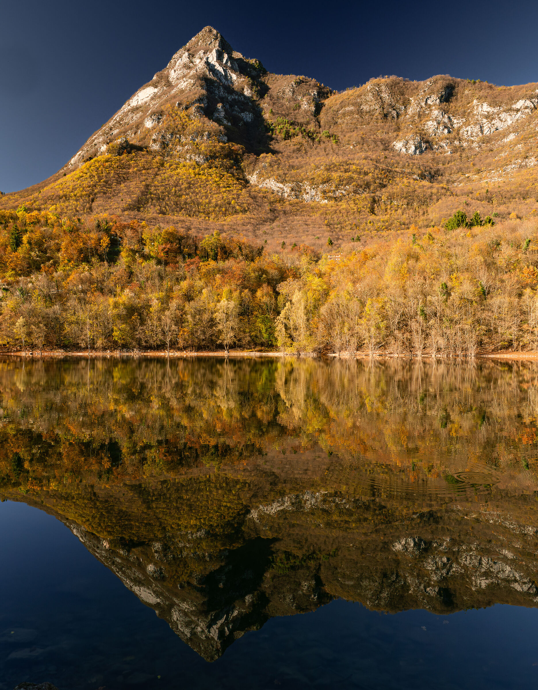 Vertical Reflections - Lake Vedana
