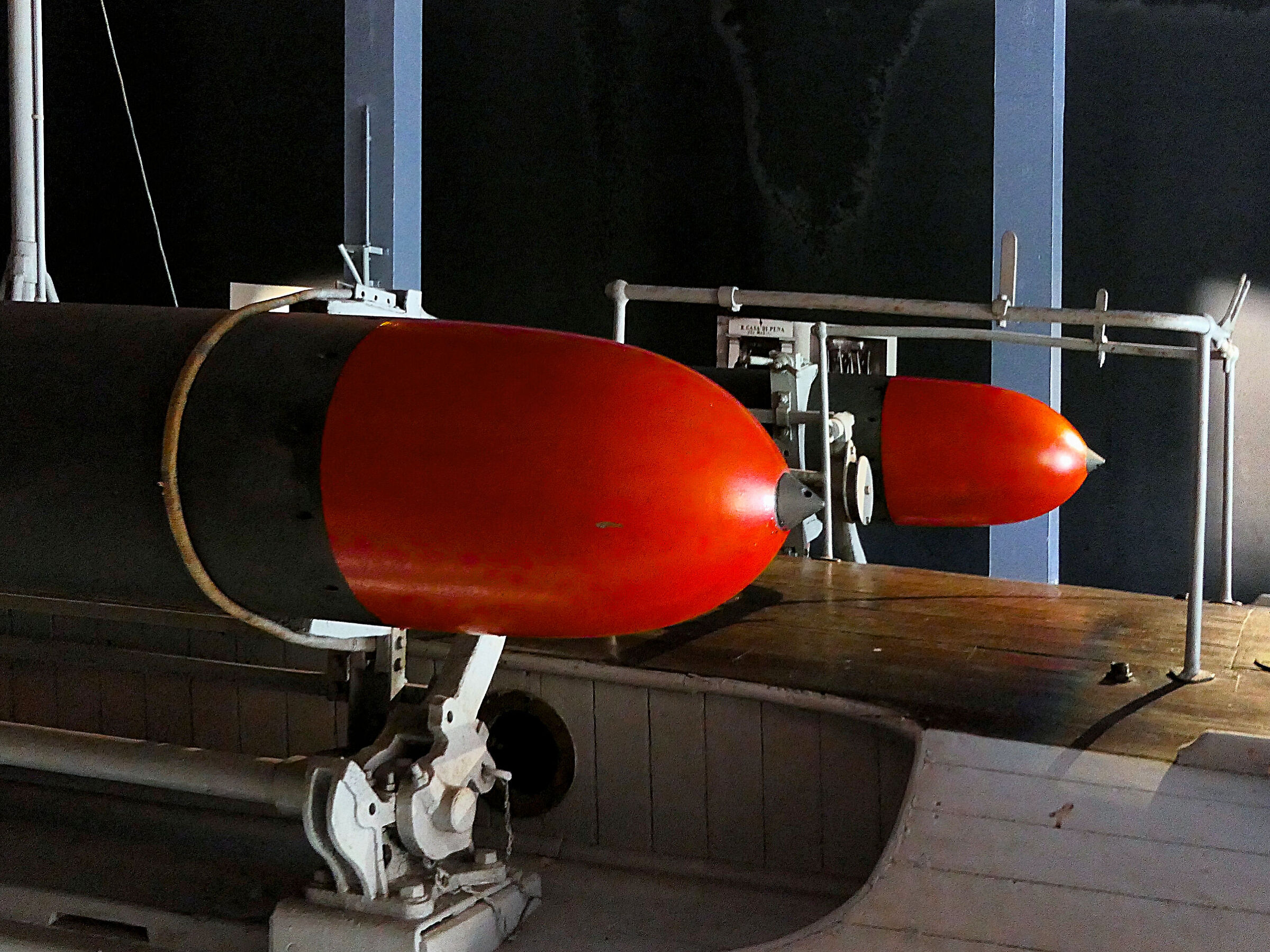 VITTORIALE_2020 (_1130260-1)