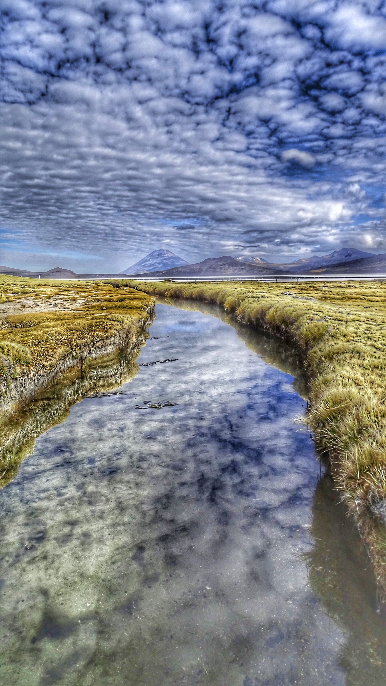 Riflesso