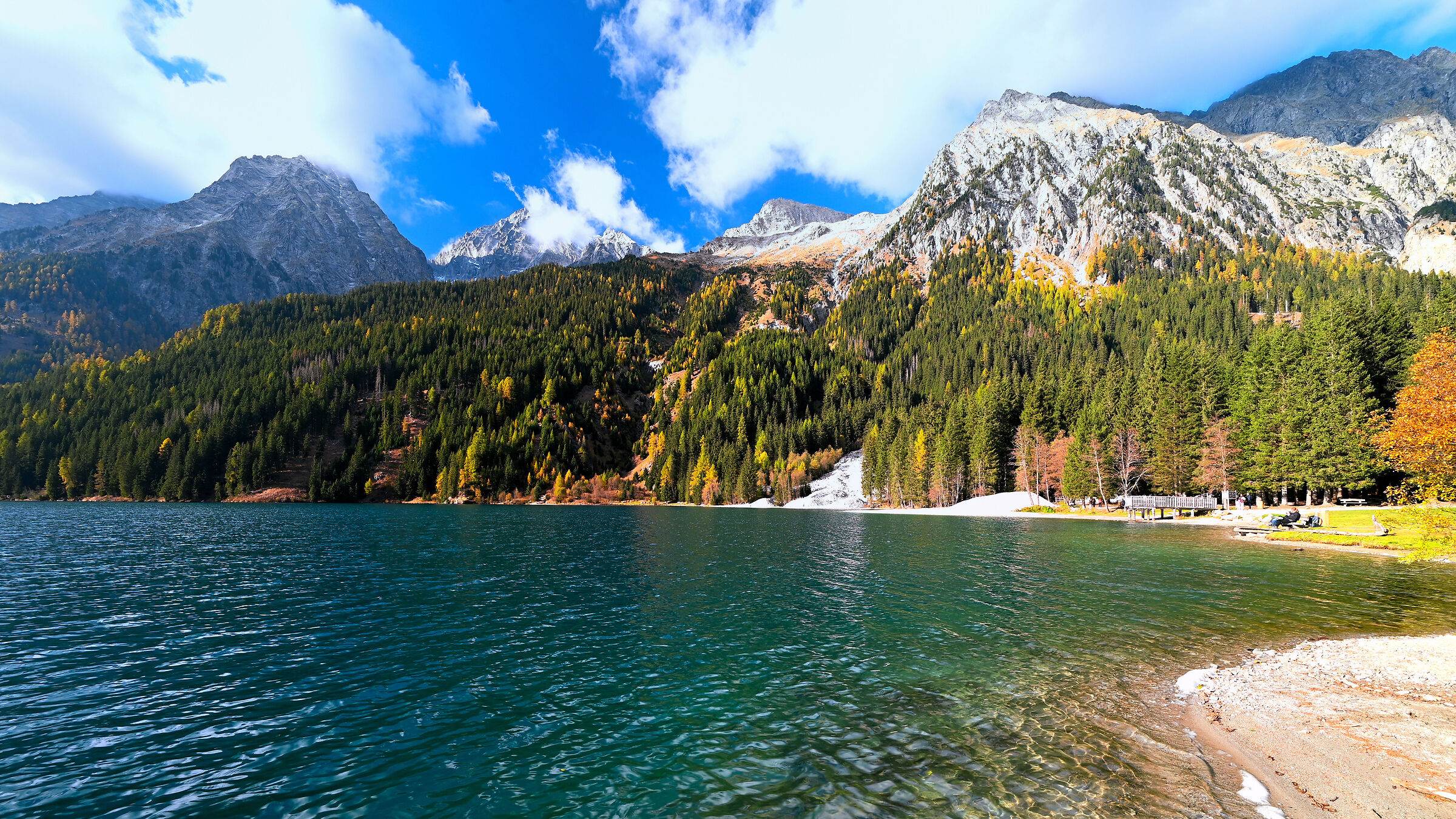 larici dorati in riva al lago