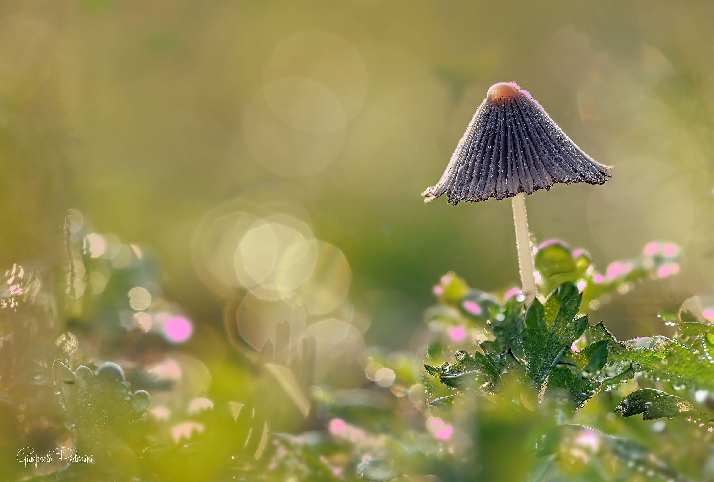 Luci e colori di inizio autunno