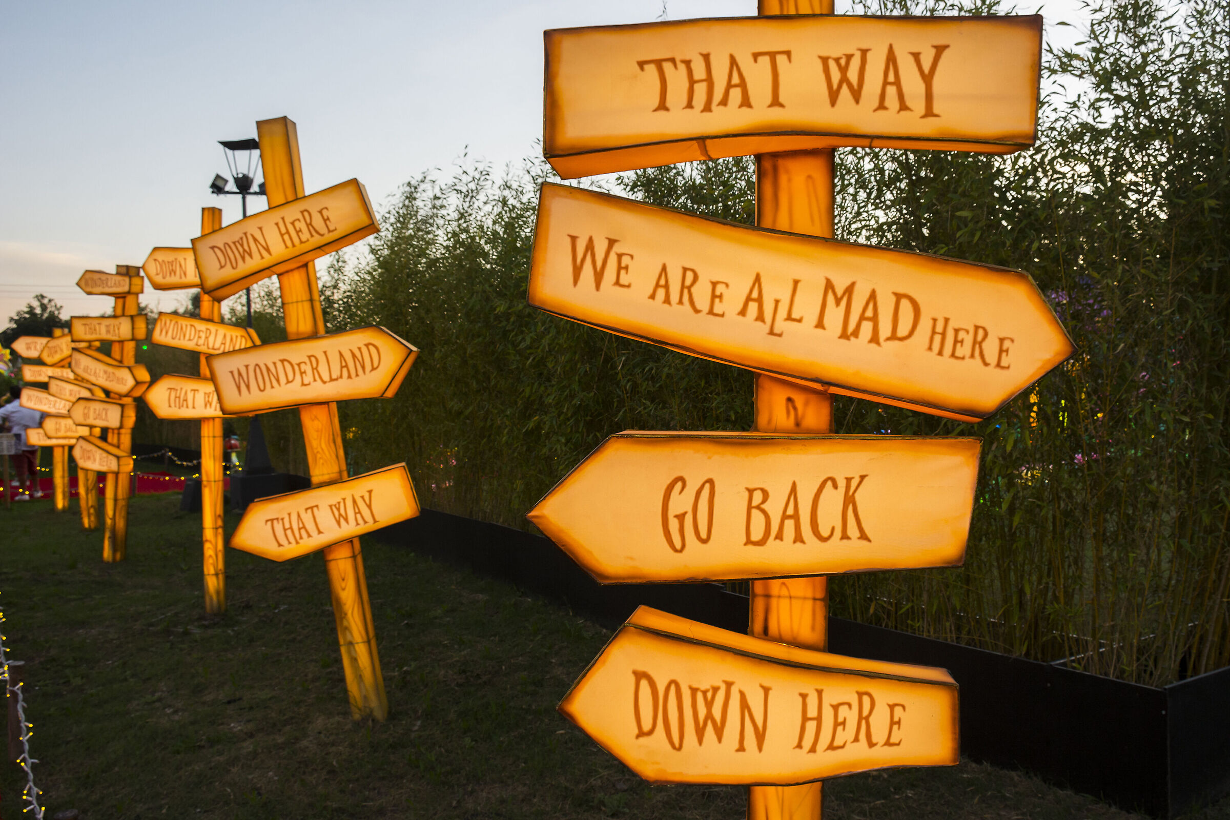 Wonderland indications