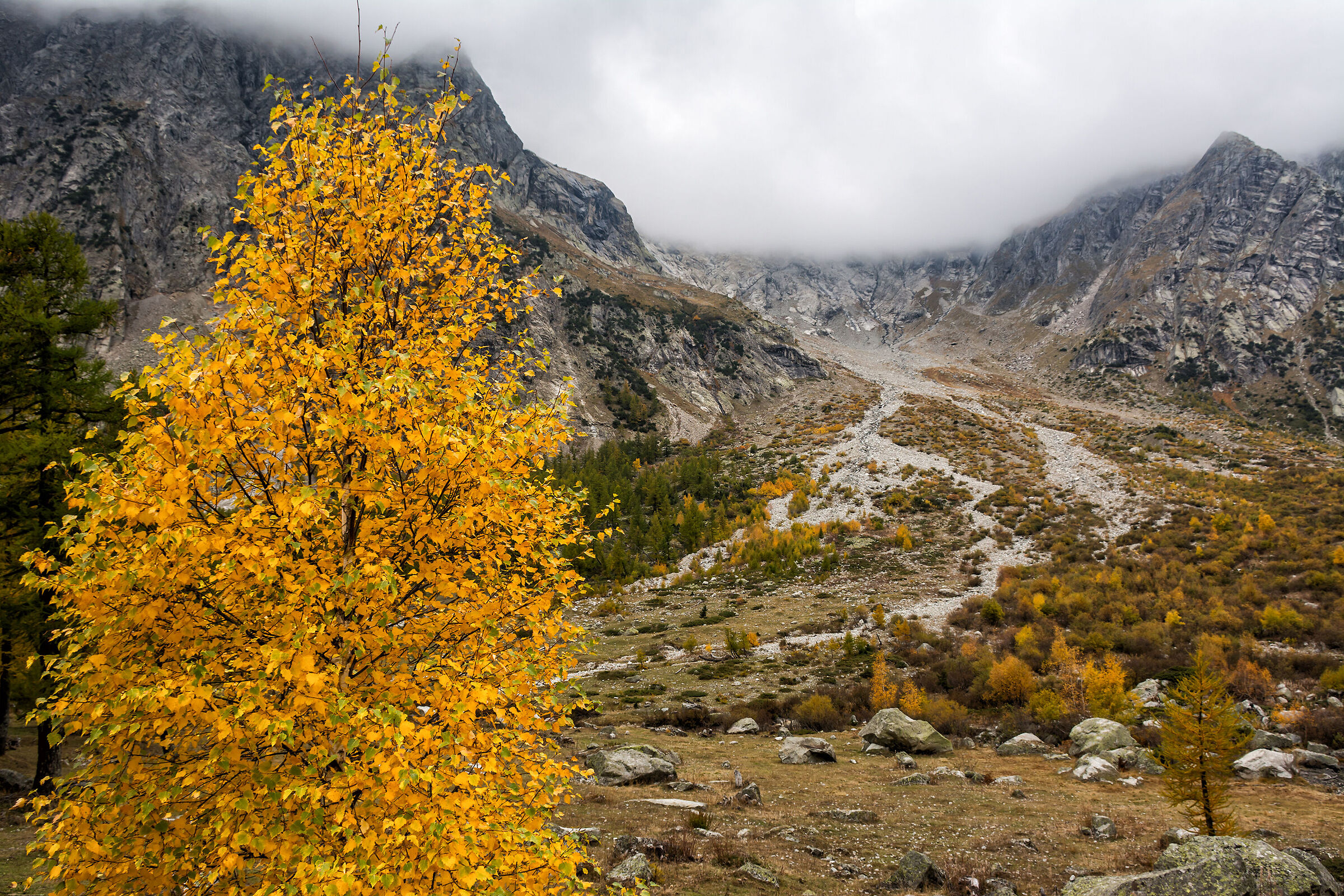 Il giallo della Val Ferret