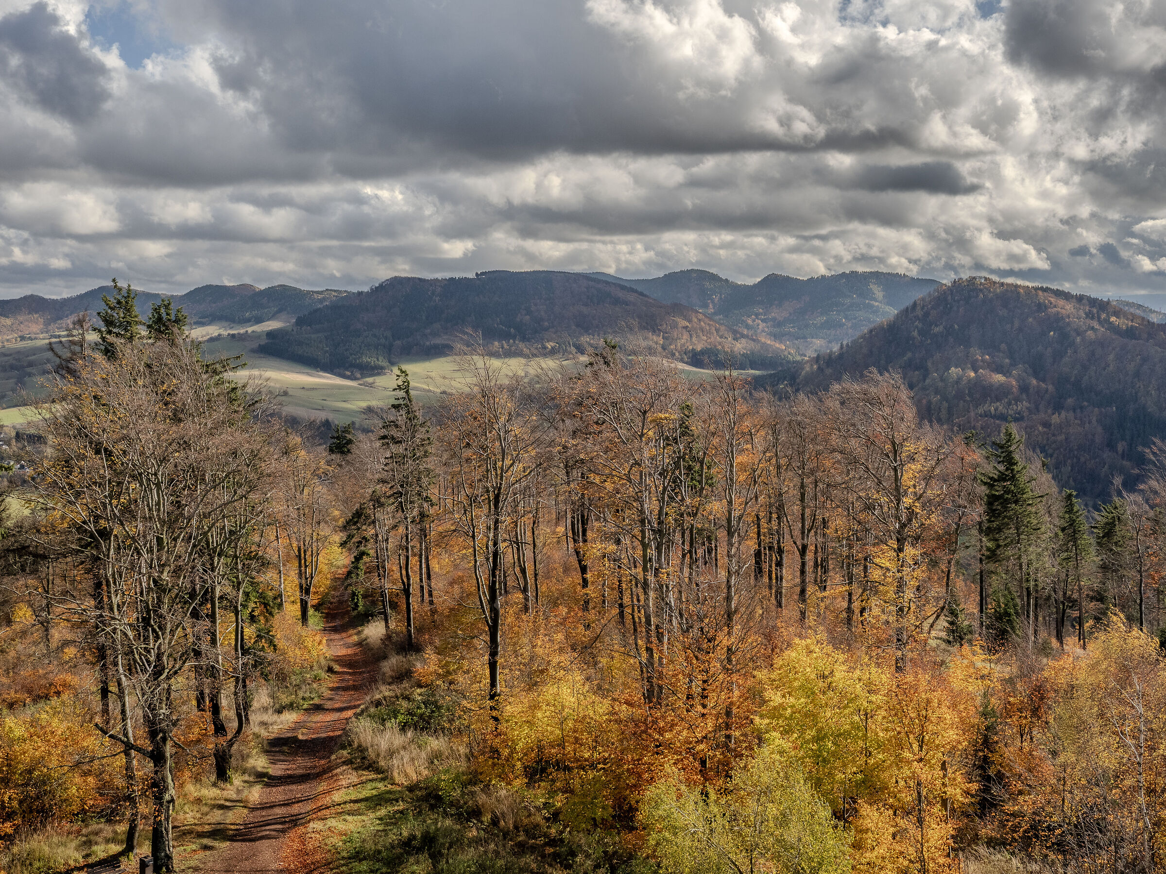La vista dal monte Dzikowiec.
