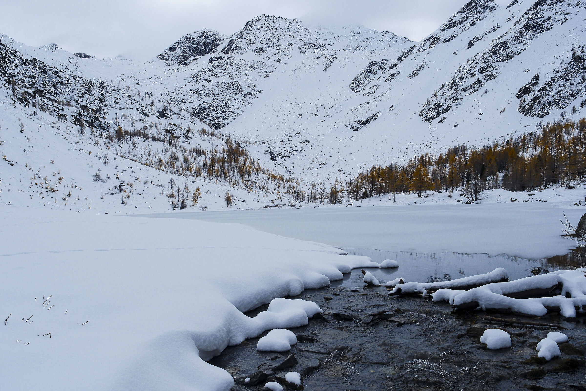Winter advance