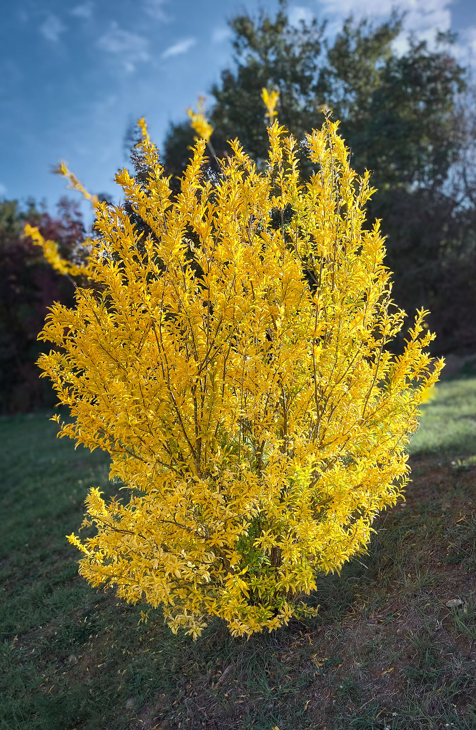 e' arrivato l'autunno