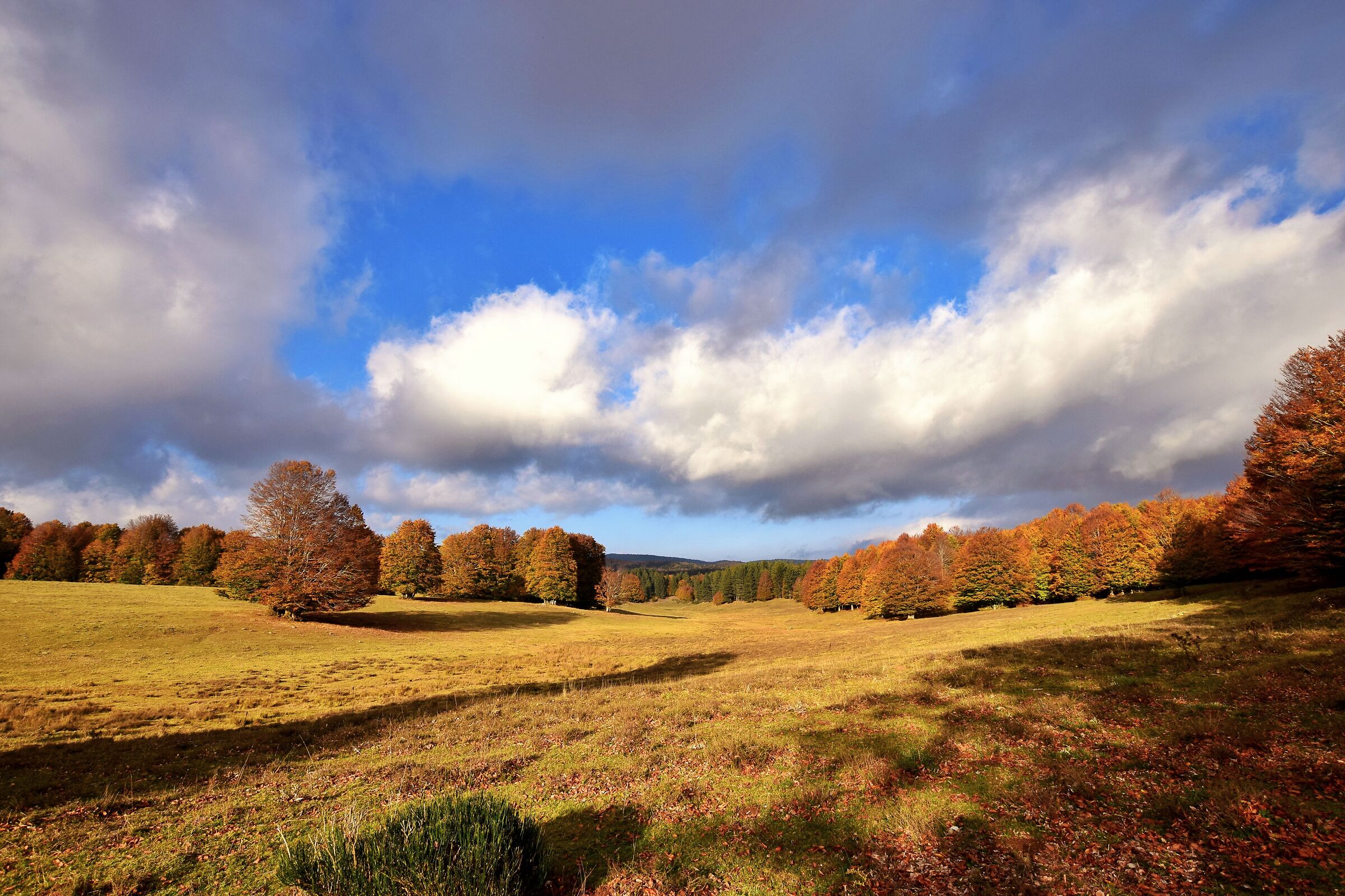 The Colors of Autumn