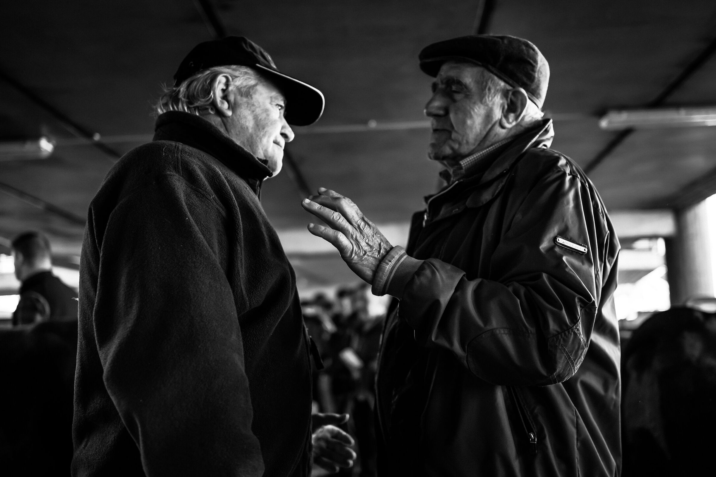 I gesti della discussione