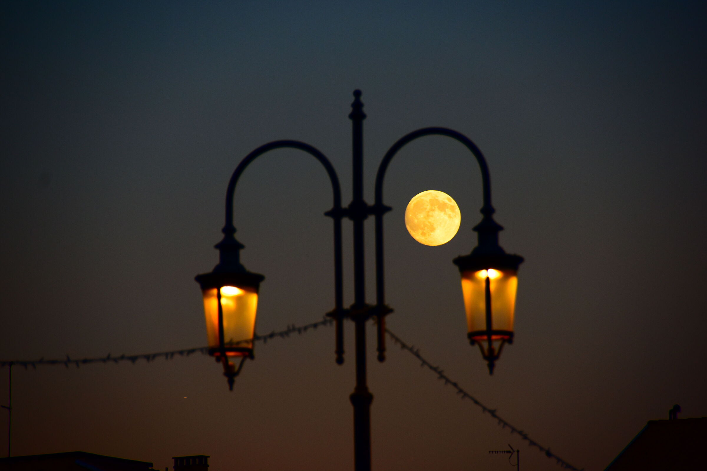Moon among the street lamps