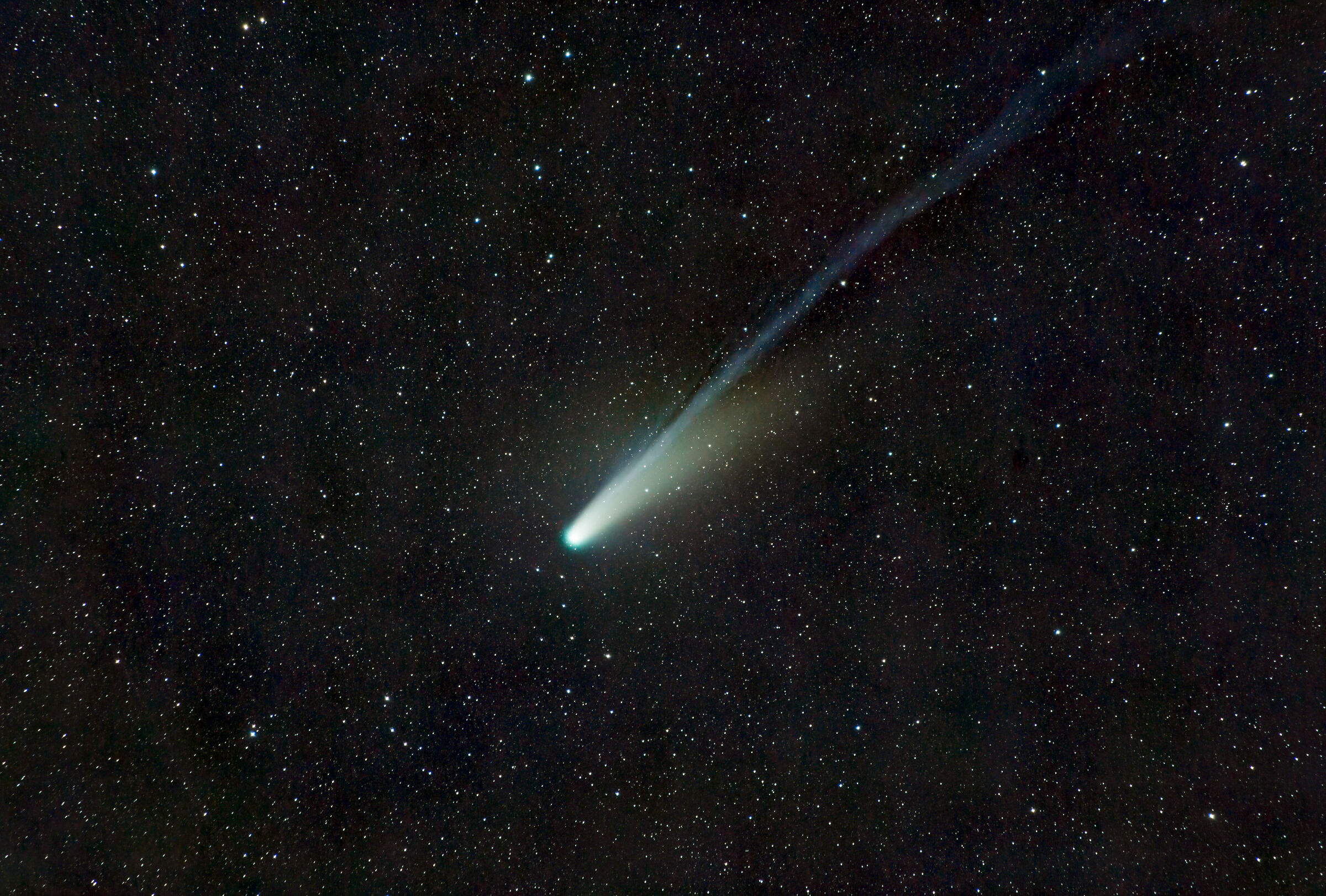 cometa c/2025 A6 Lemmon