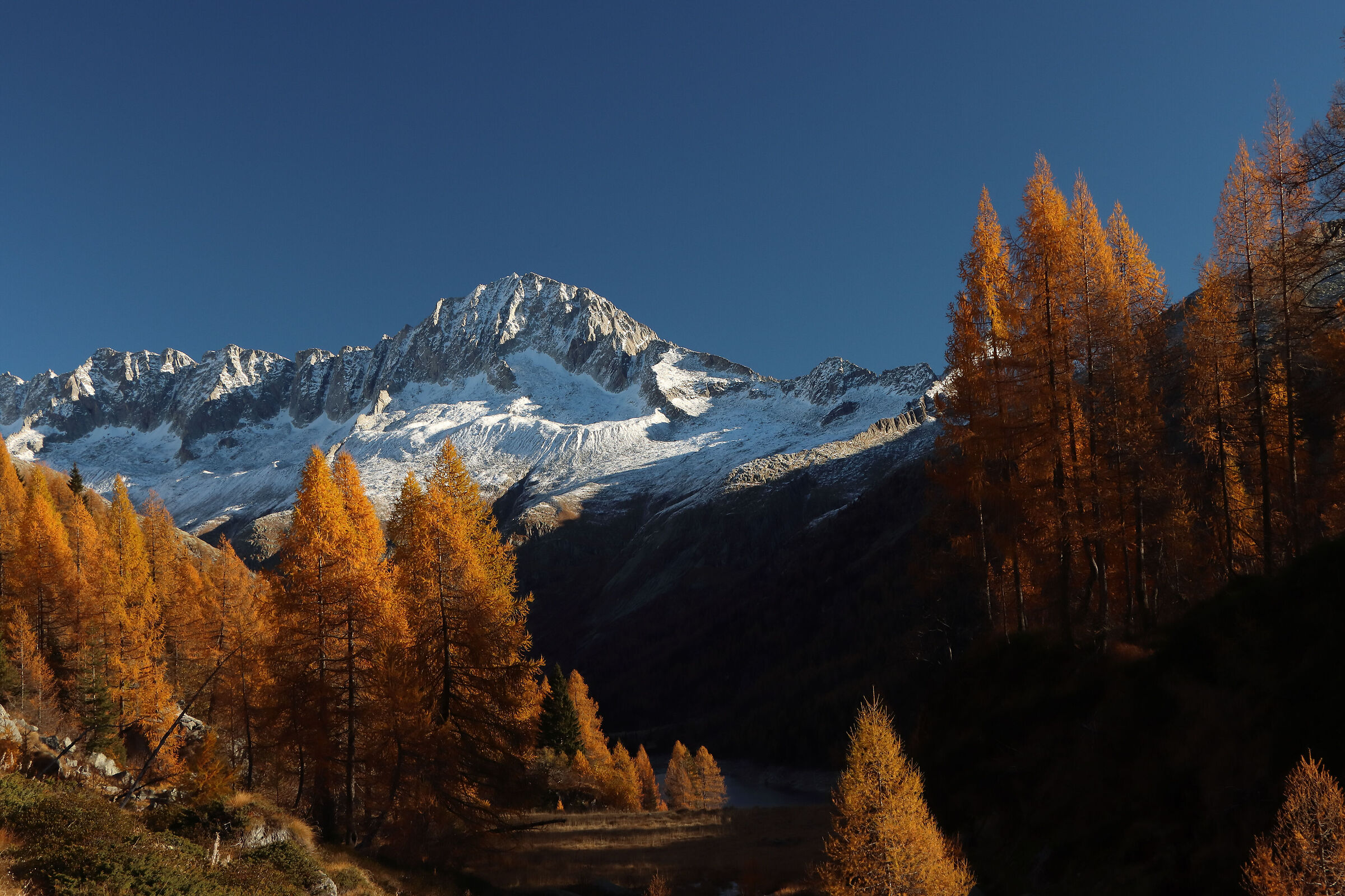 cornici del Caré Alto