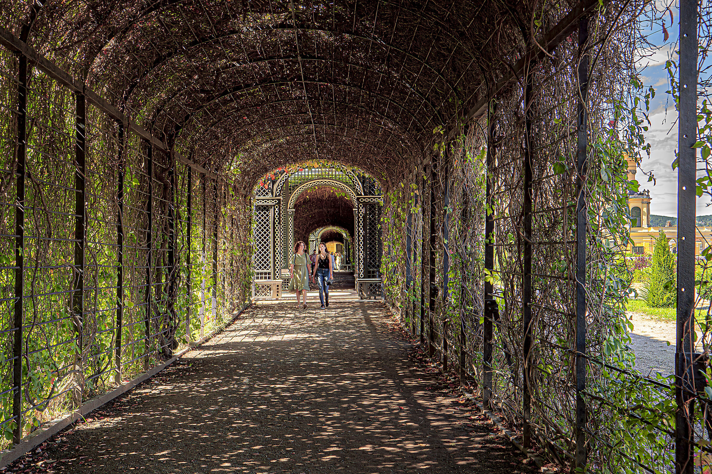 Crown Prince's Garden - Schönbrunn