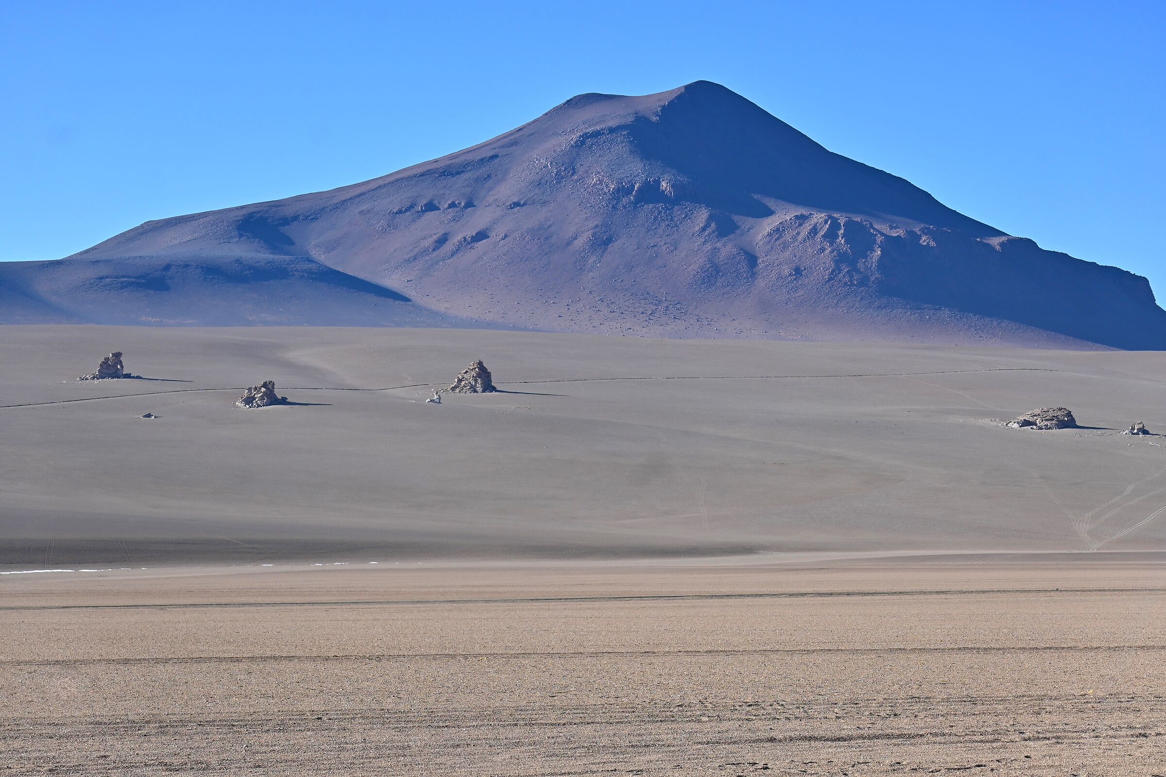 Salvador Dali Desert