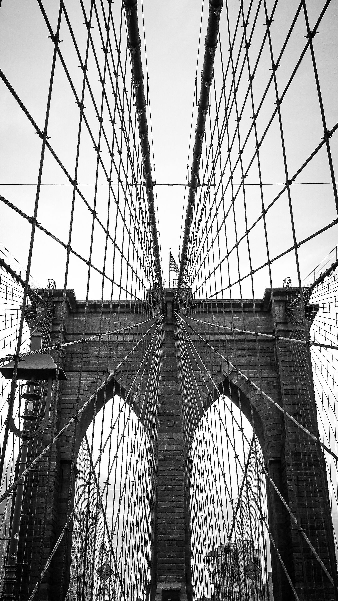 Untitled Photo