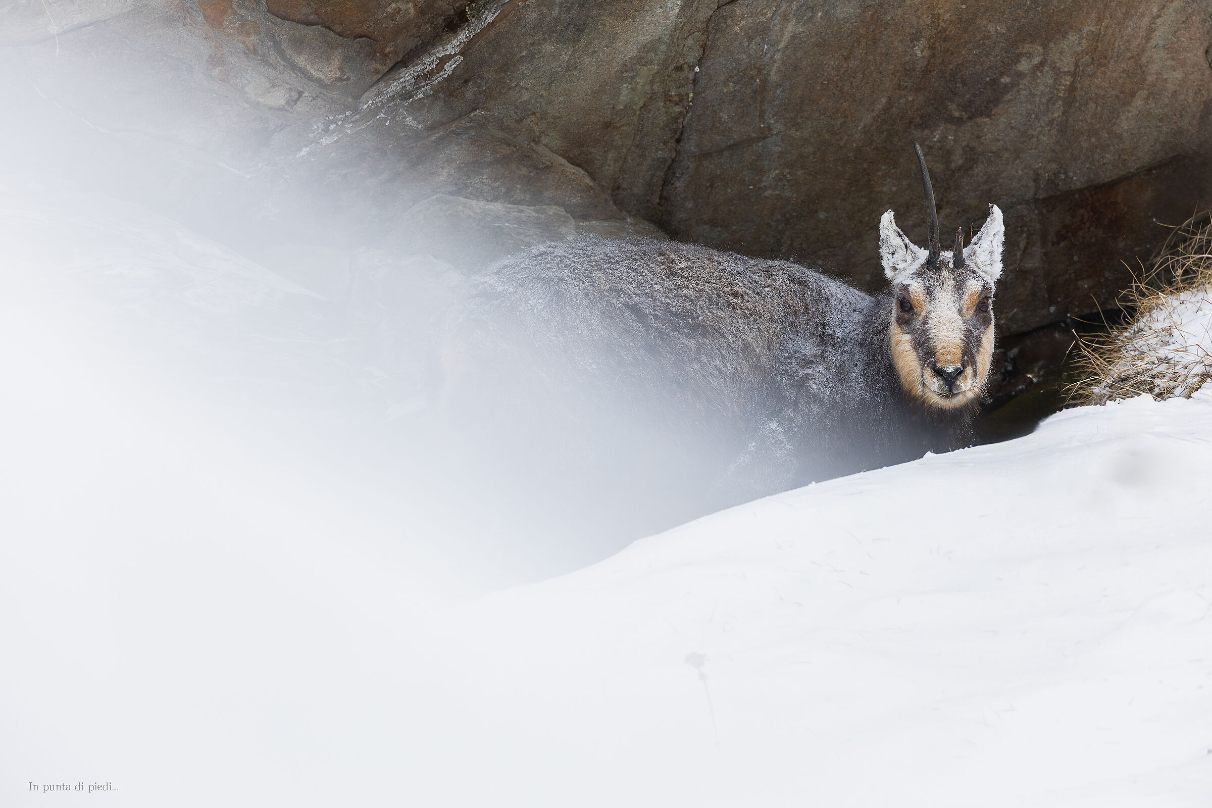 alone on the ridge - alone on the ridge...
