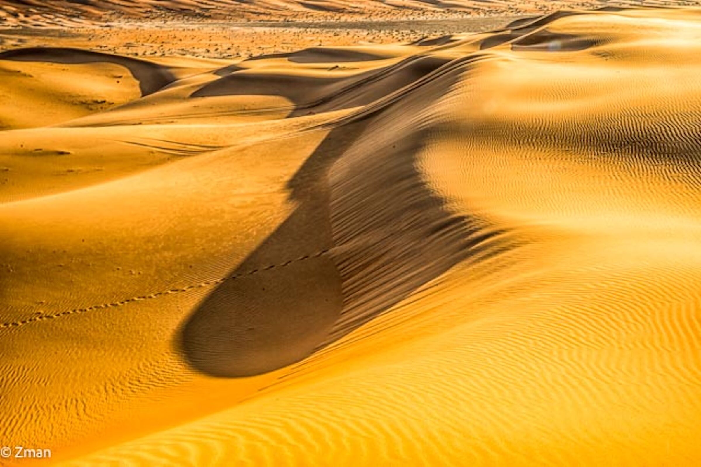 Sand Dunes