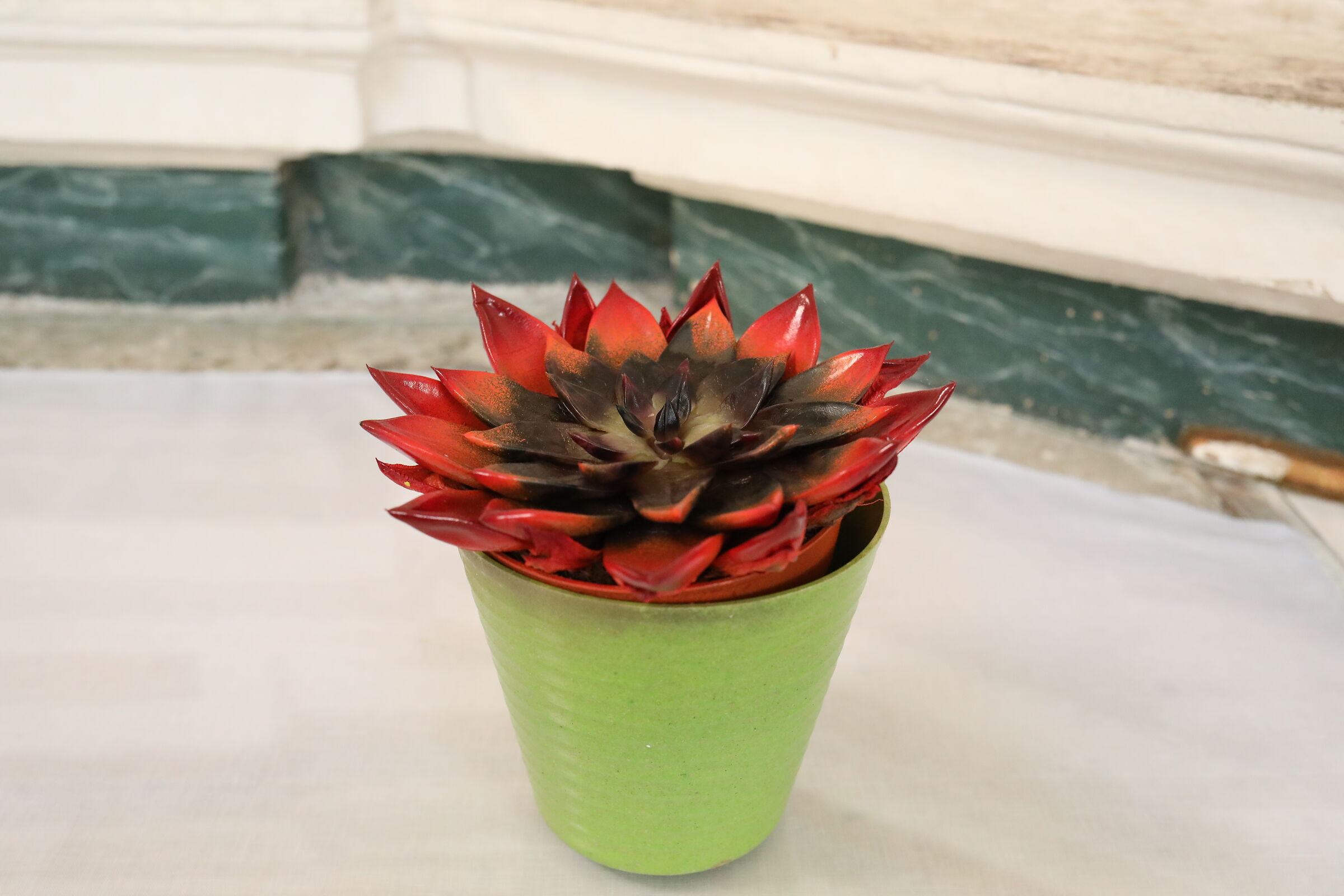 @" ISO 6 Thousand 400 " Canon 5 D IV, 35 F.2 IS Usm