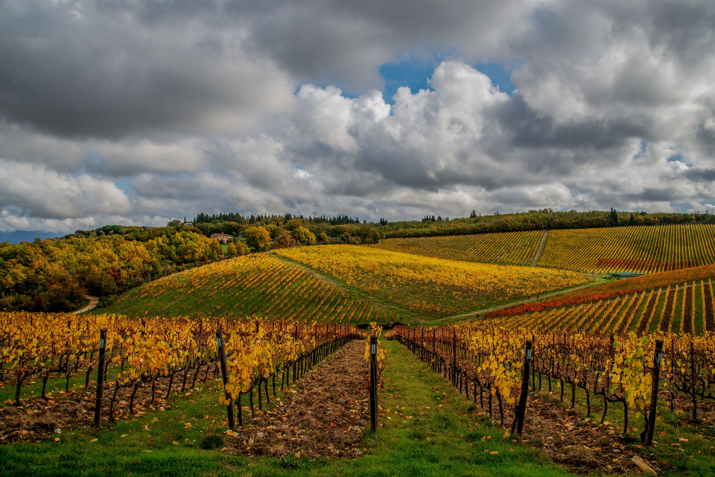 Tuscan classic...