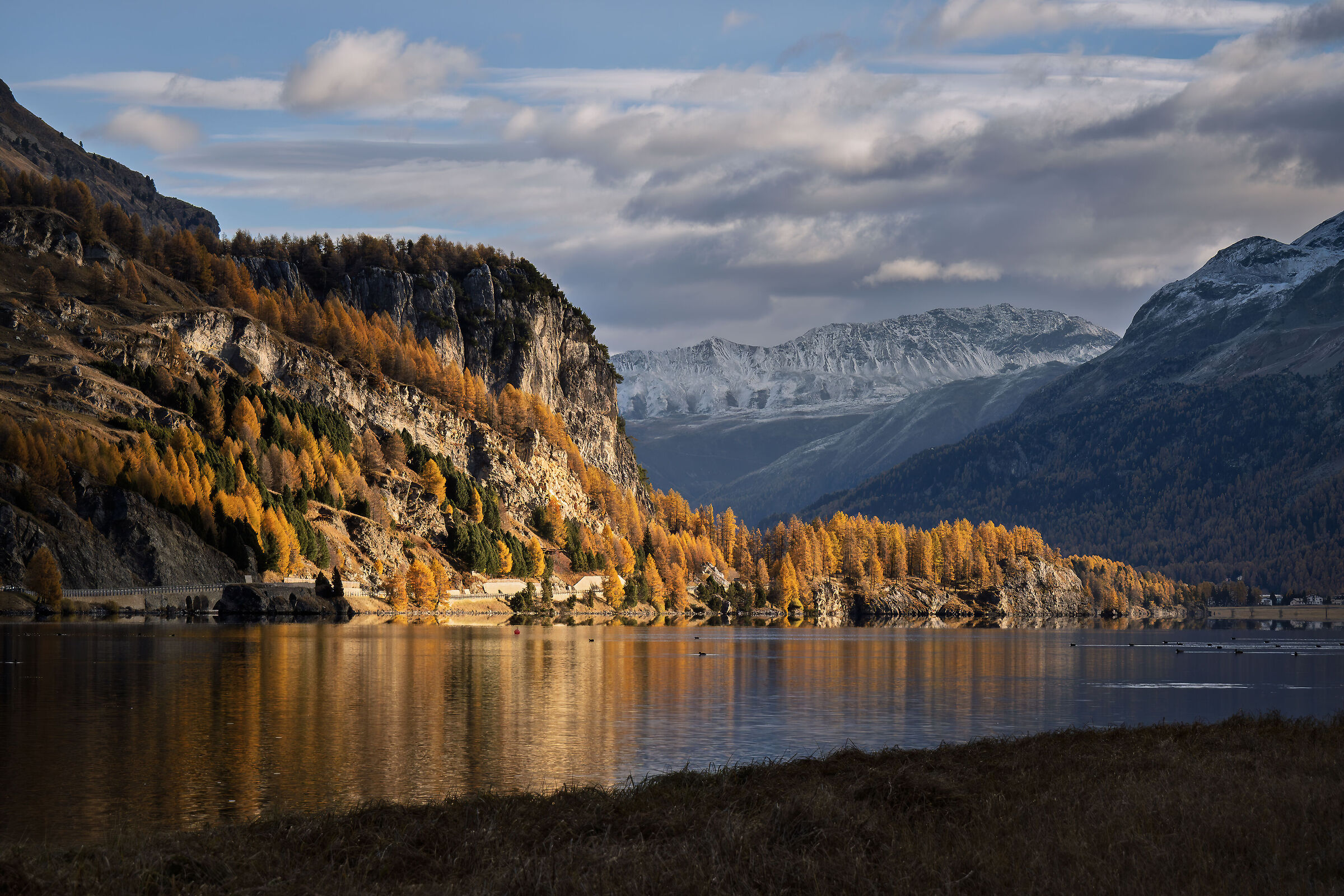 Lado di Sils, Engadine CH