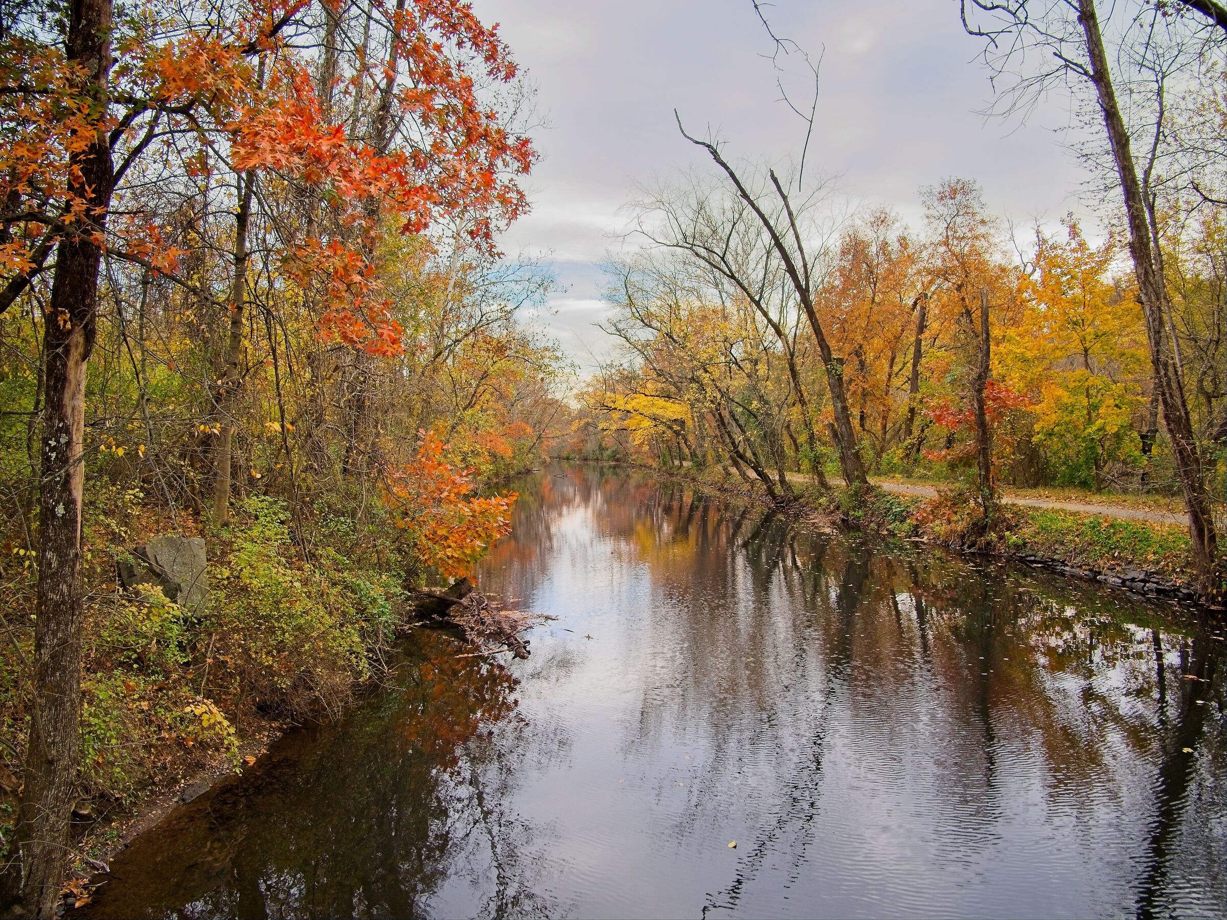 Un canale del fiume Delaware