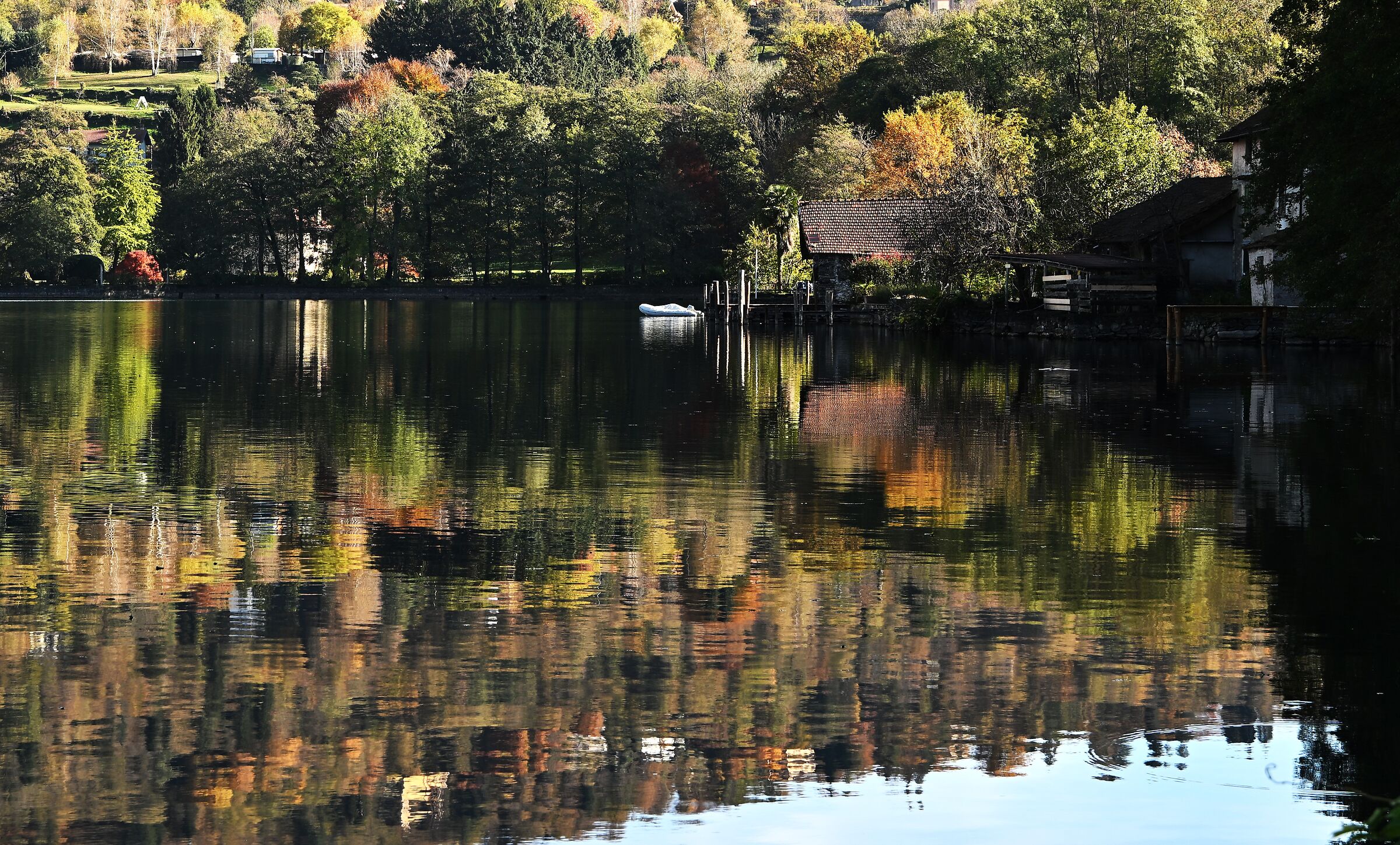 reflections on the lake