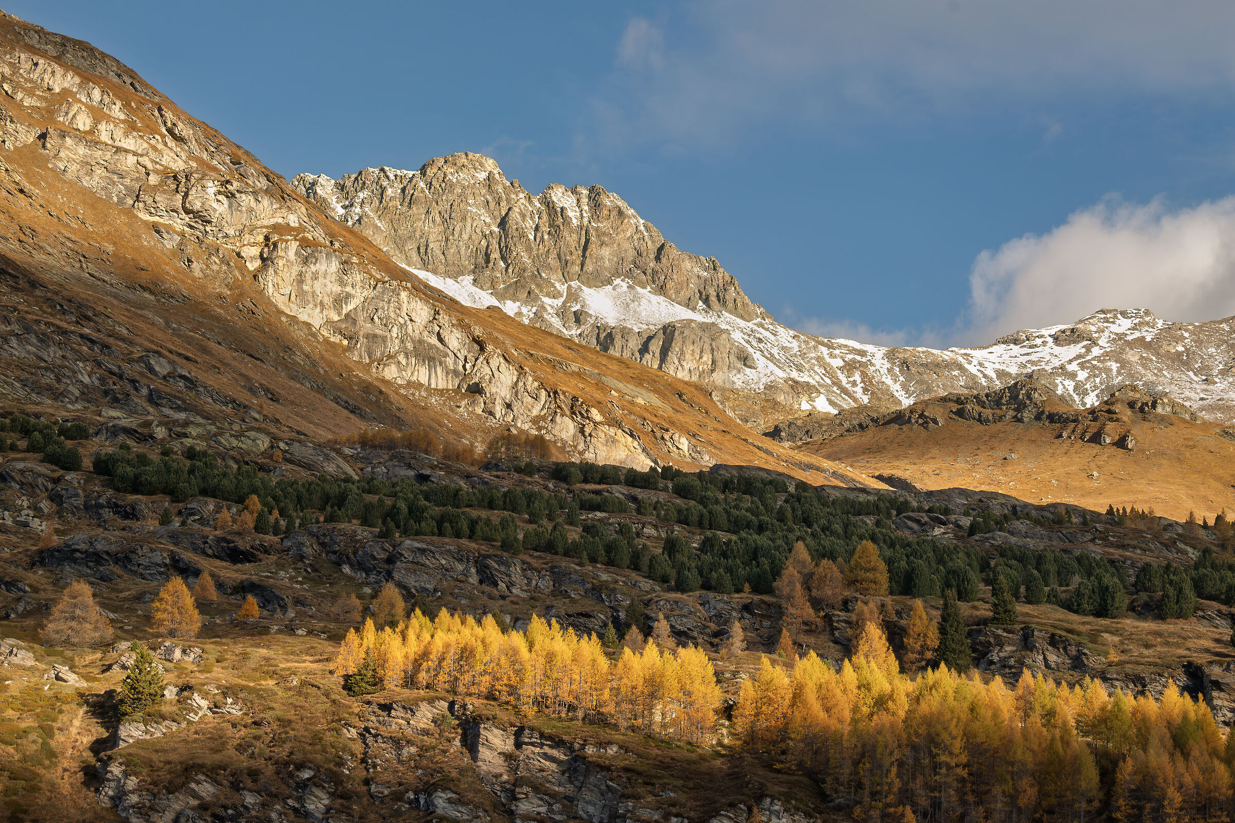 Muotta Radonda , Engadine CH