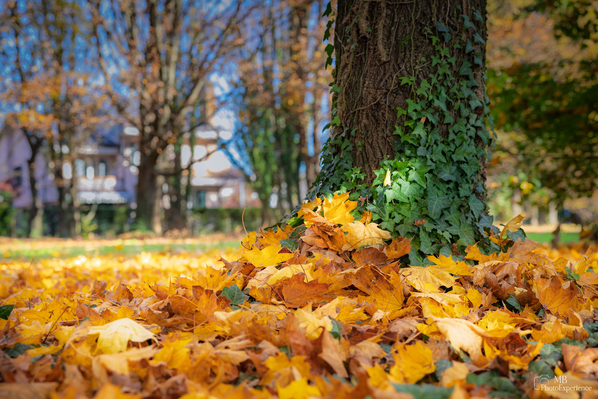 autunno