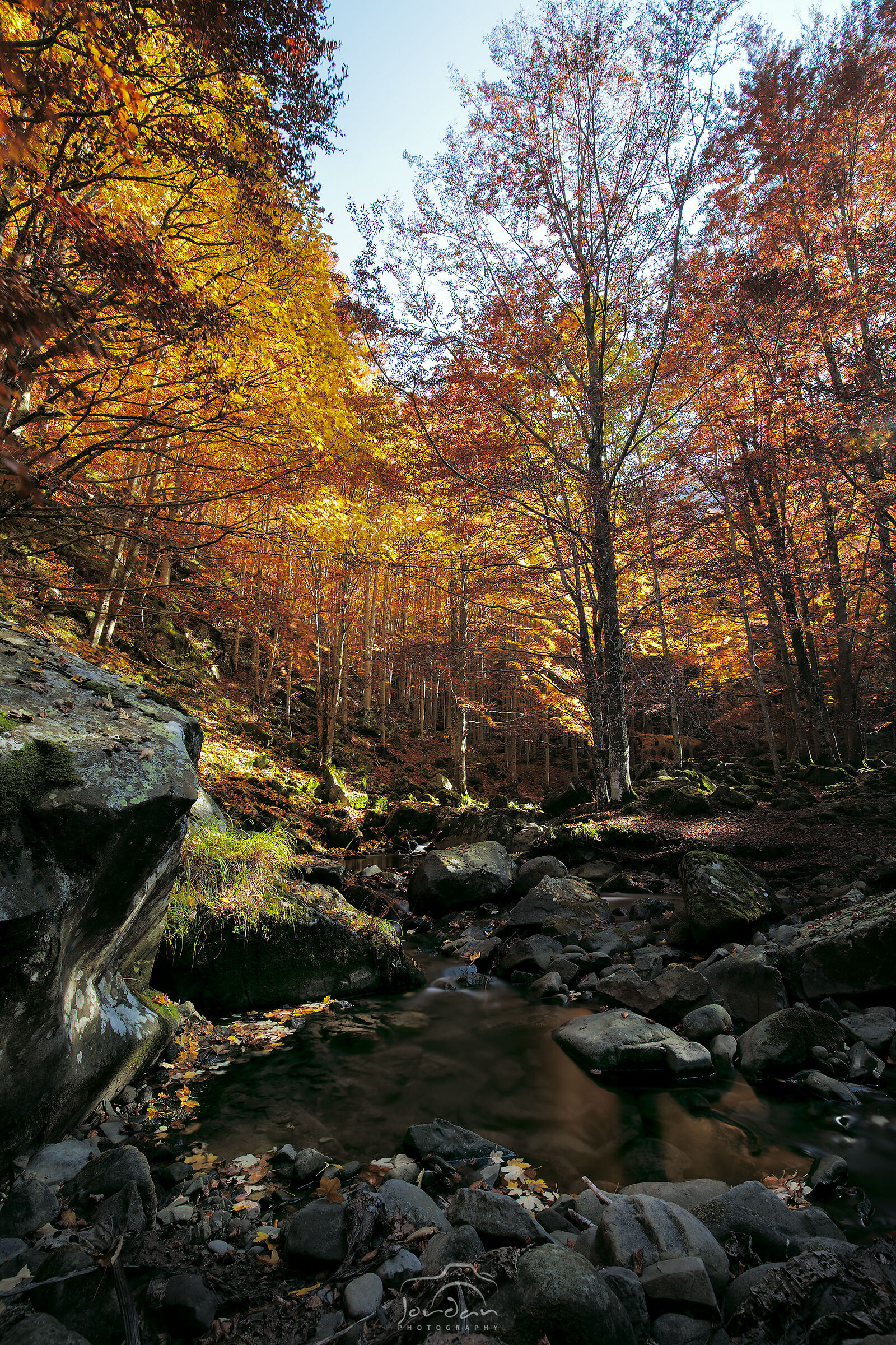 The colors of Autumn 2